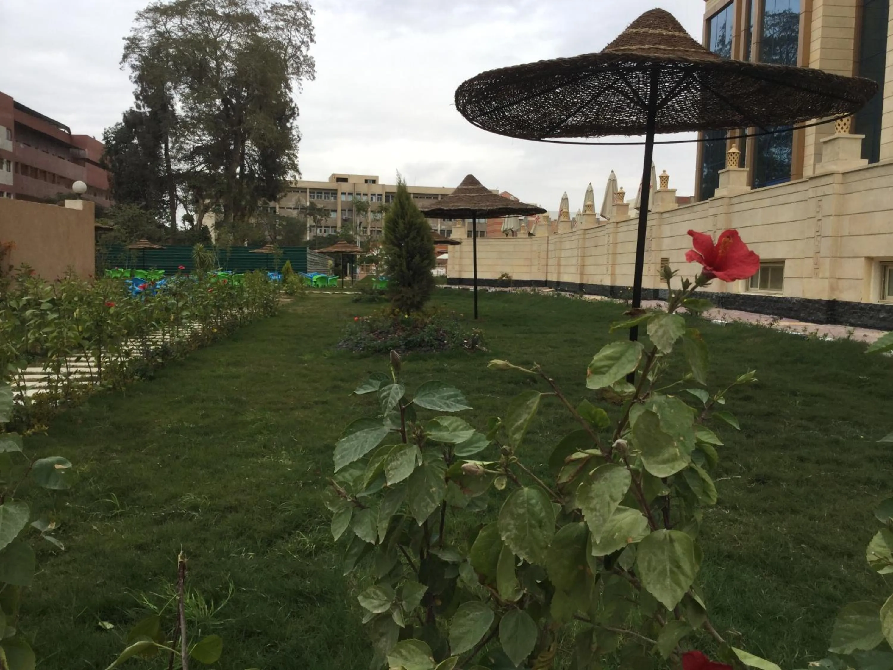 Garden in Jewel Inn Beni Suef