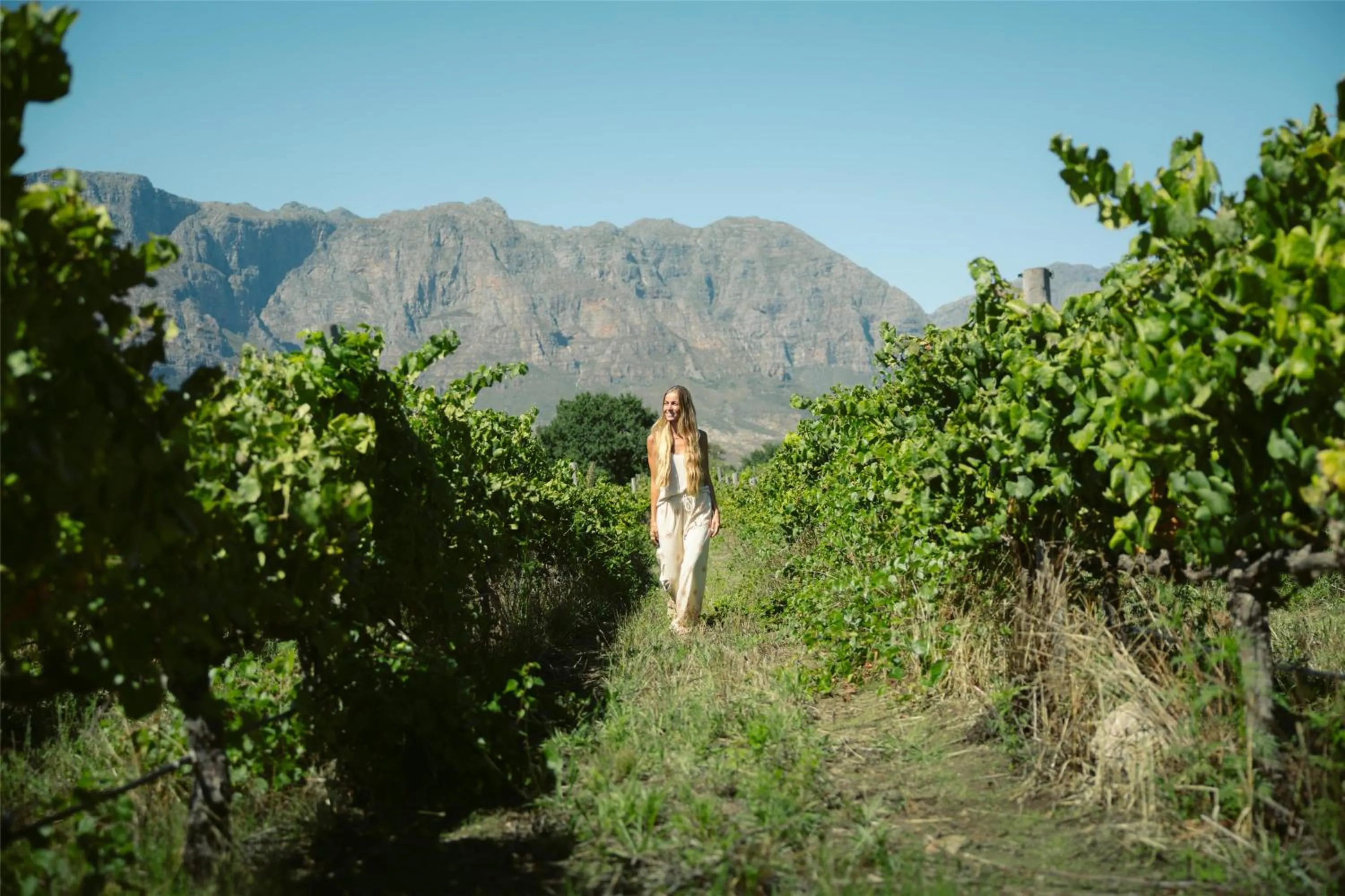 Other in Radisson Collection Hotel, Waterfront Cape Town