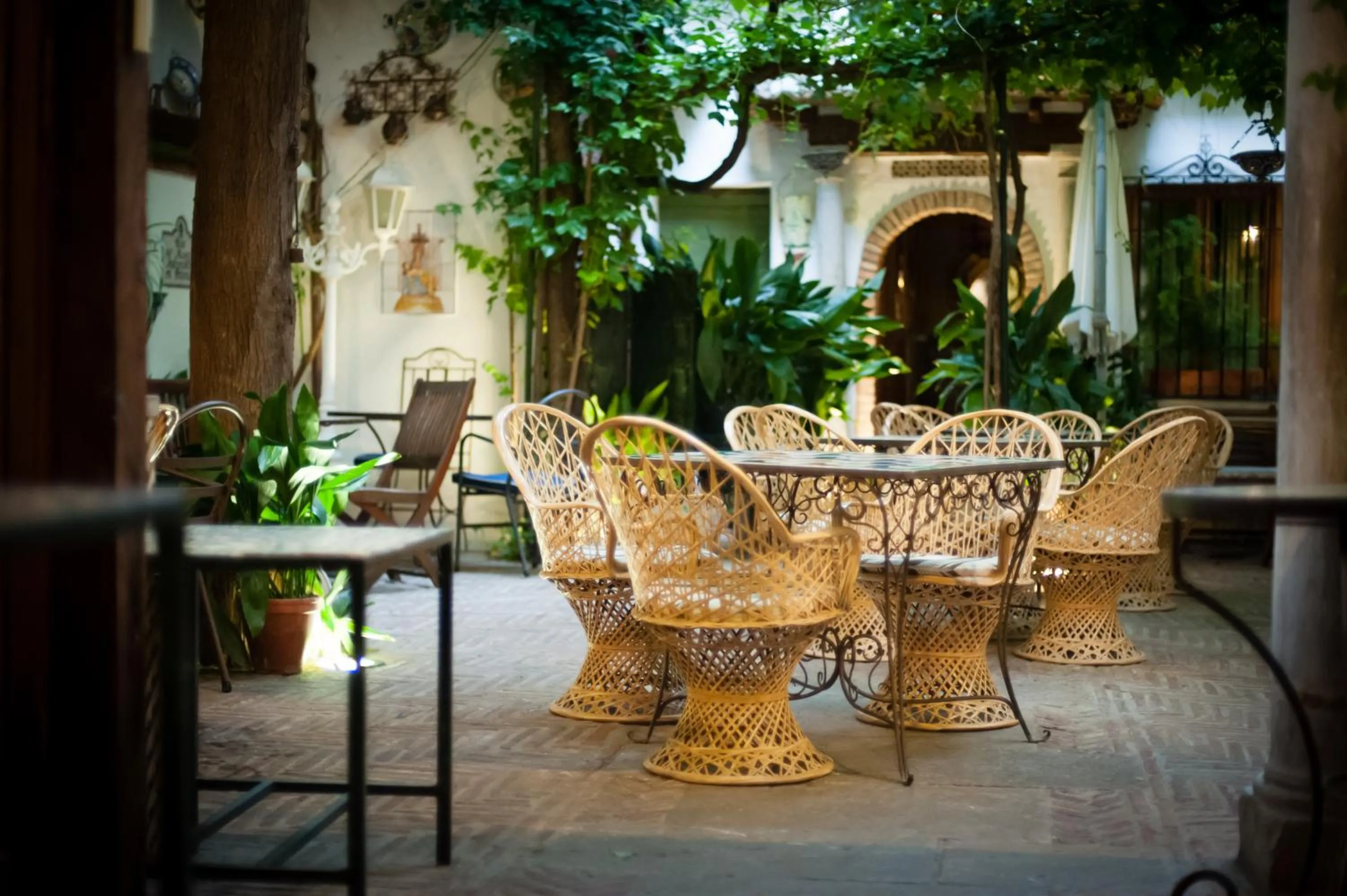 Restaurant/places to eat in Hotel América