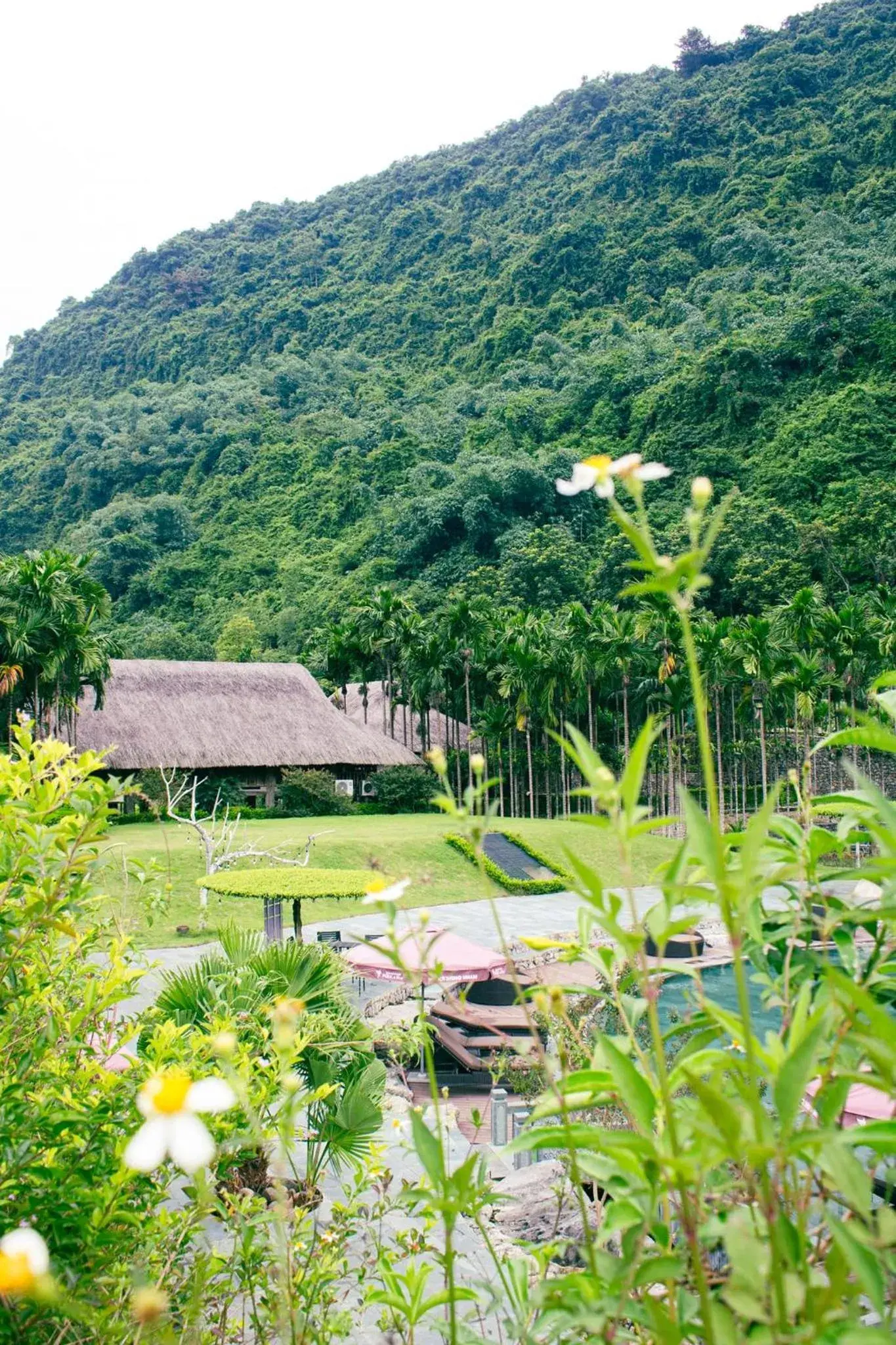 Swimming pool in Thung Nham Resort Swimming pool in Thung Nham Resort