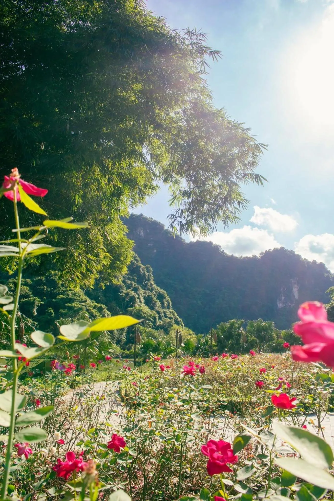 Natural landscape in Thung Nham Resort