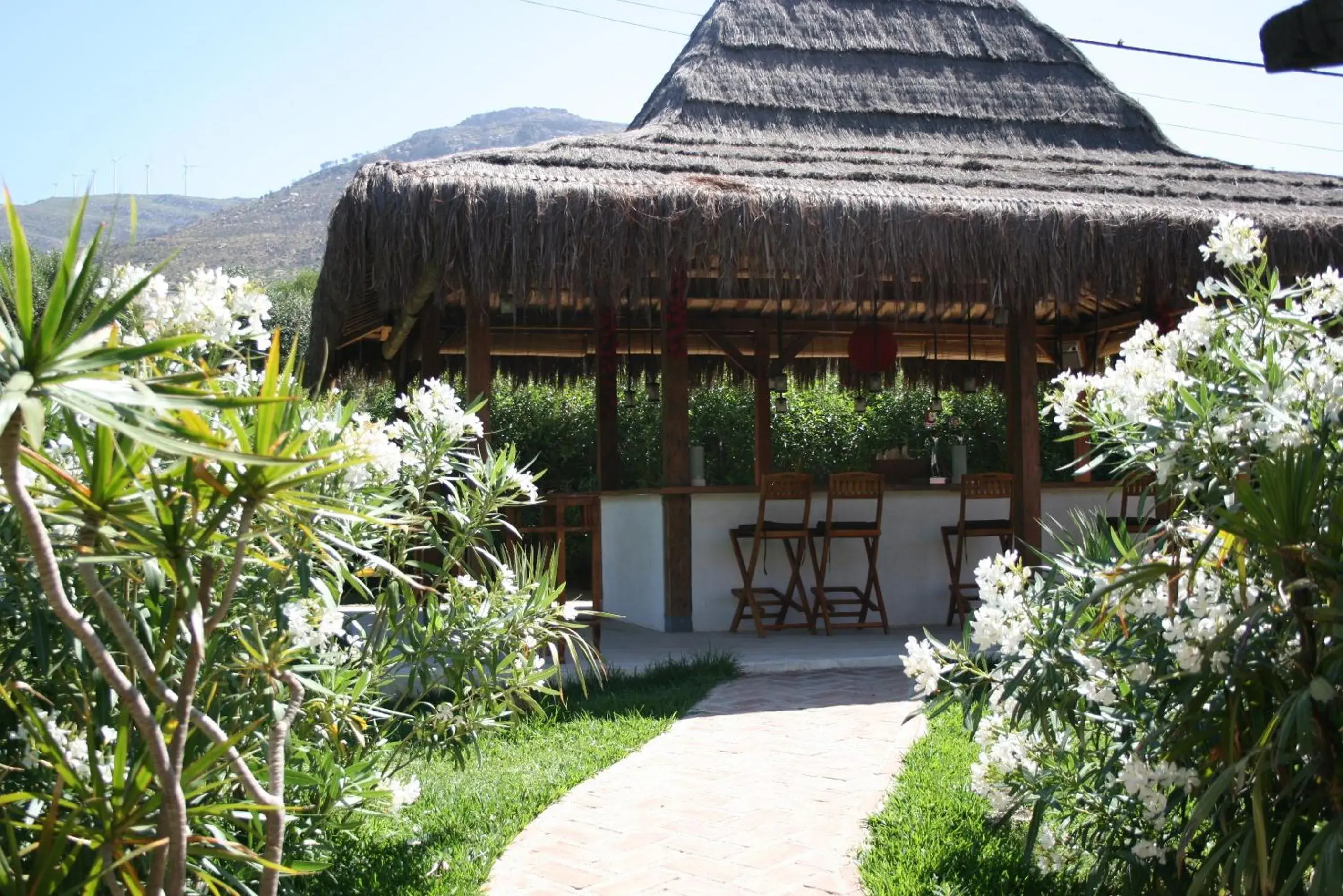 Lounge or bar in 100% Fun Lounge or bar in 100% Fun