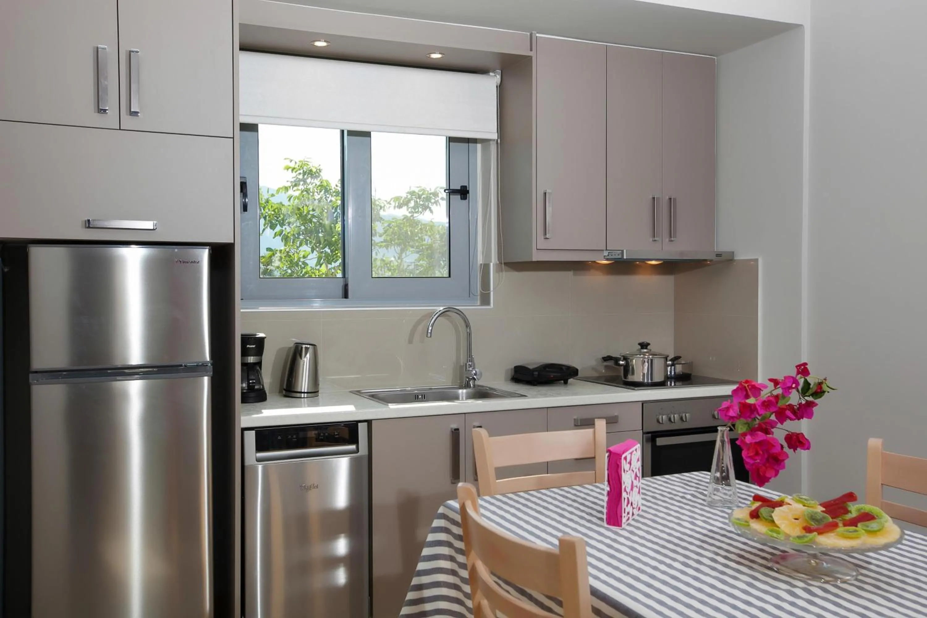 Kitchen or kitchenette in Zante Suites