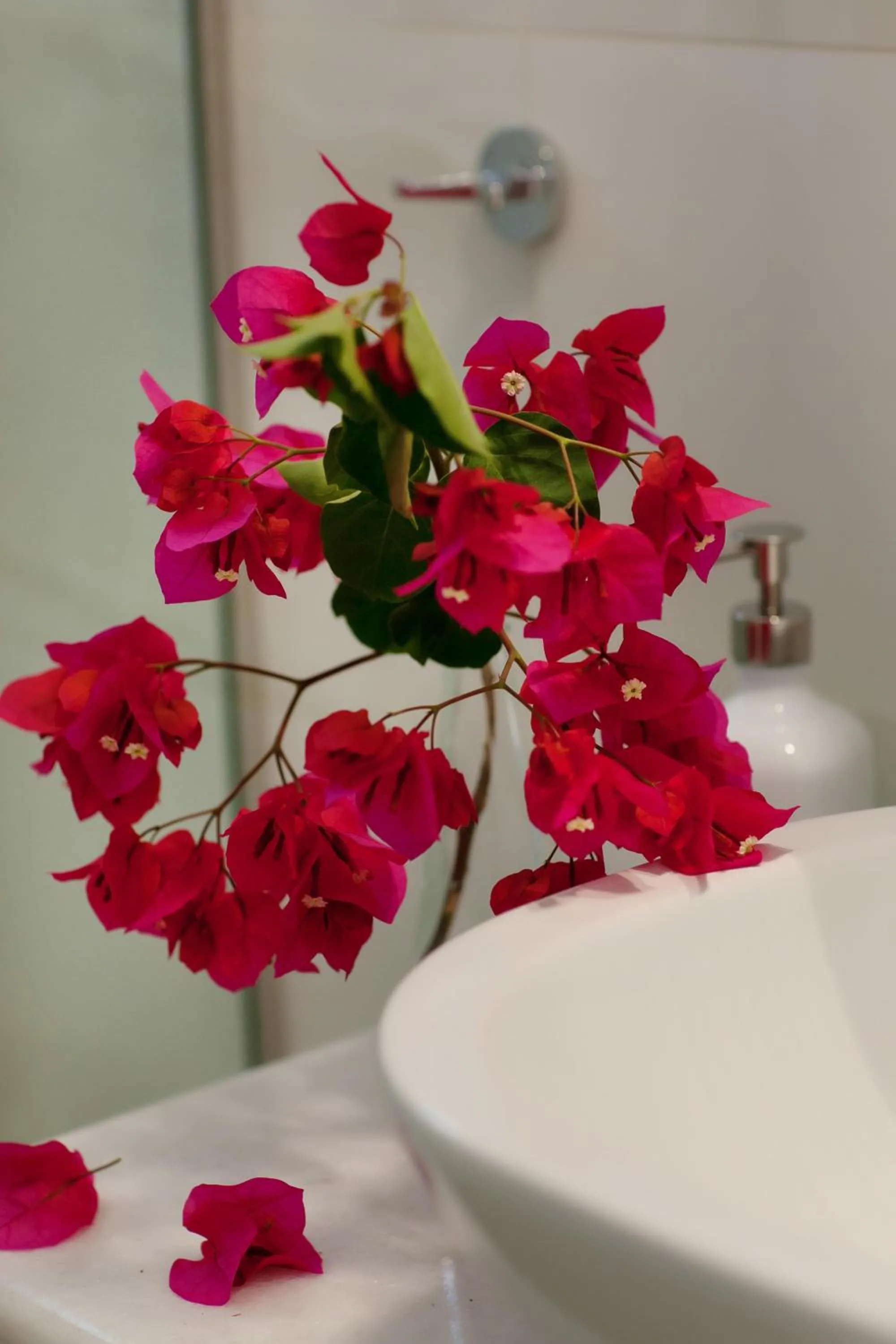 Decorative detail in Zante Suites