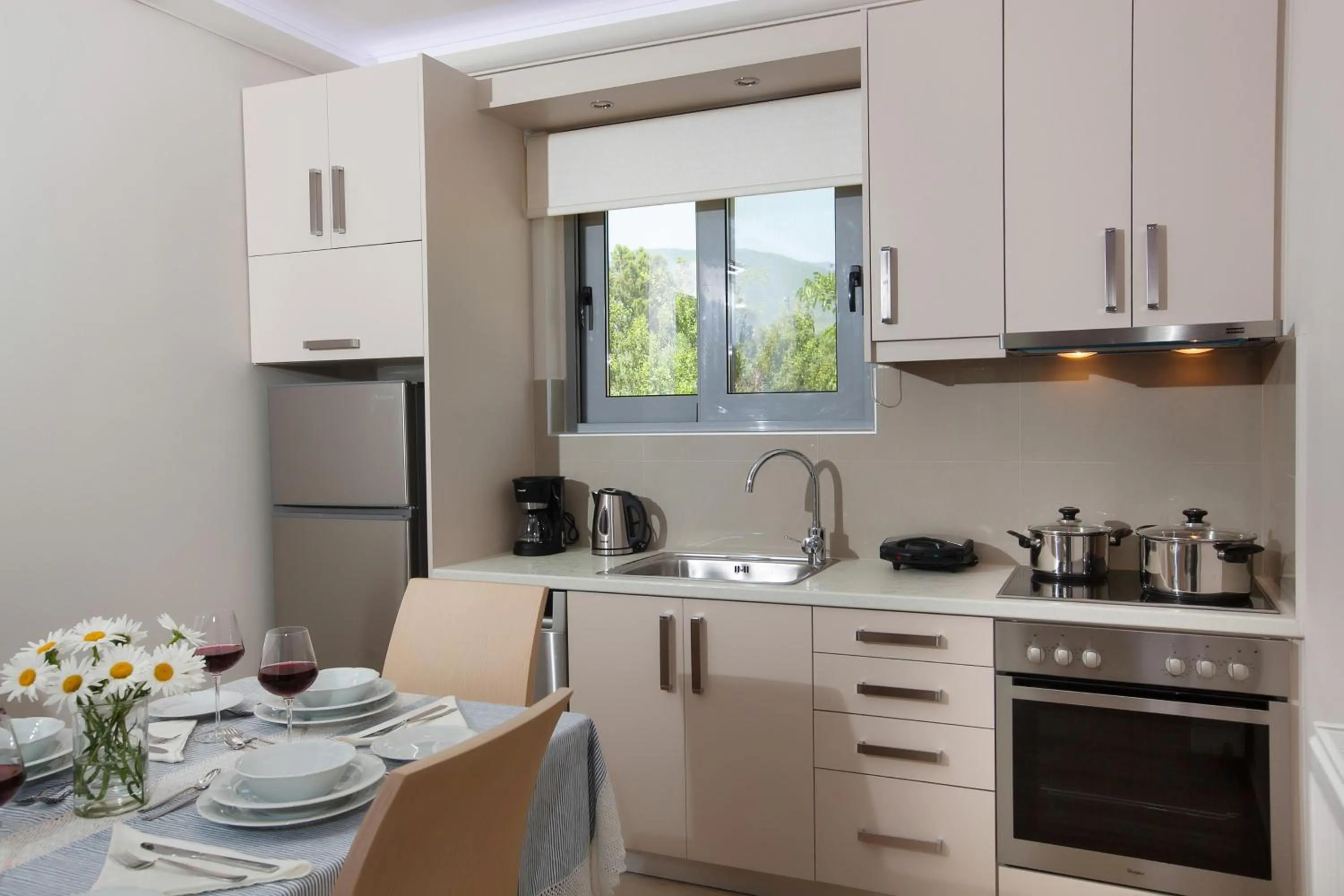 Kitchen or kitchenette in Zante Suites