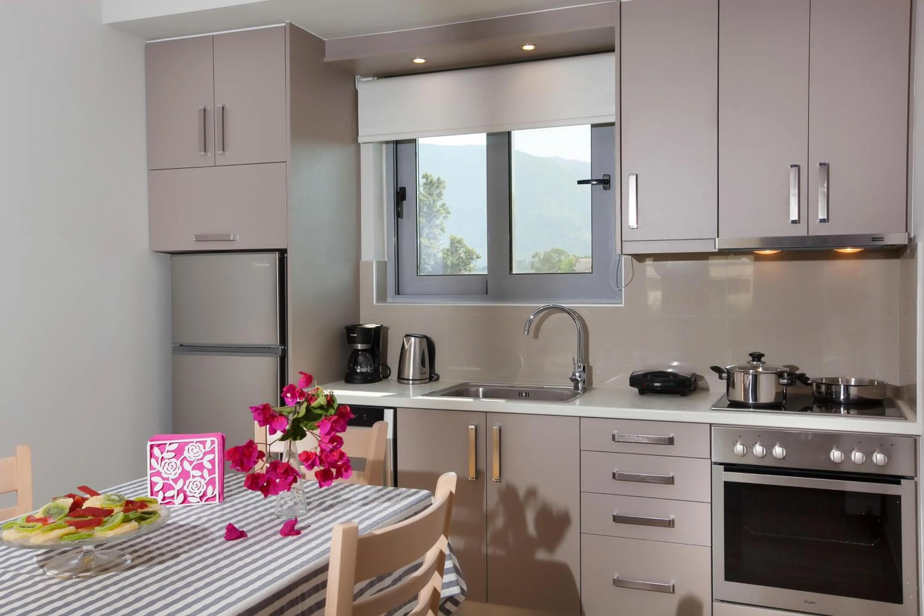 Kitchen or kitchenette in Zante Suites