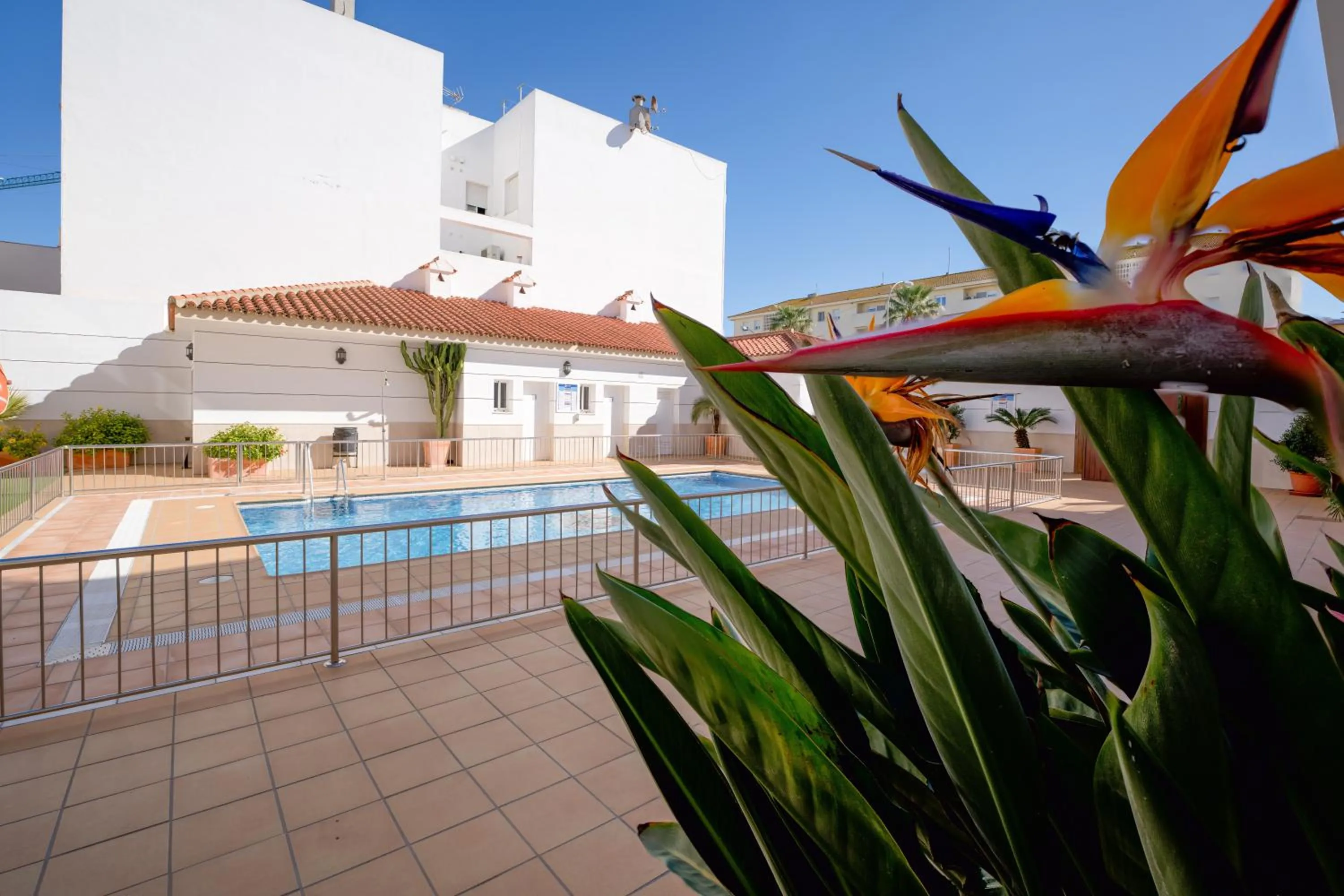 Hotel Apartamentos Loto Conil