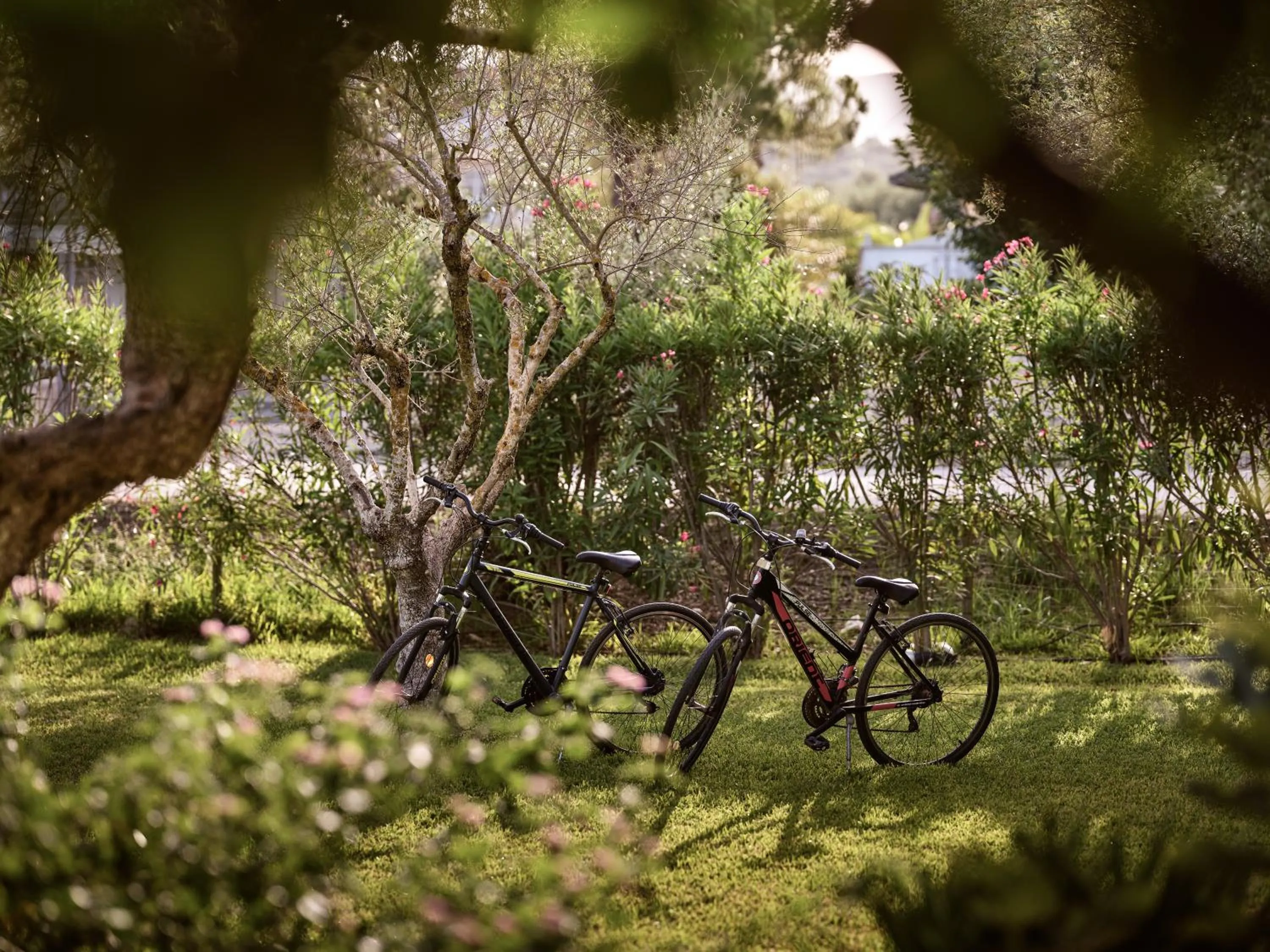 Activities in Memories Apartments