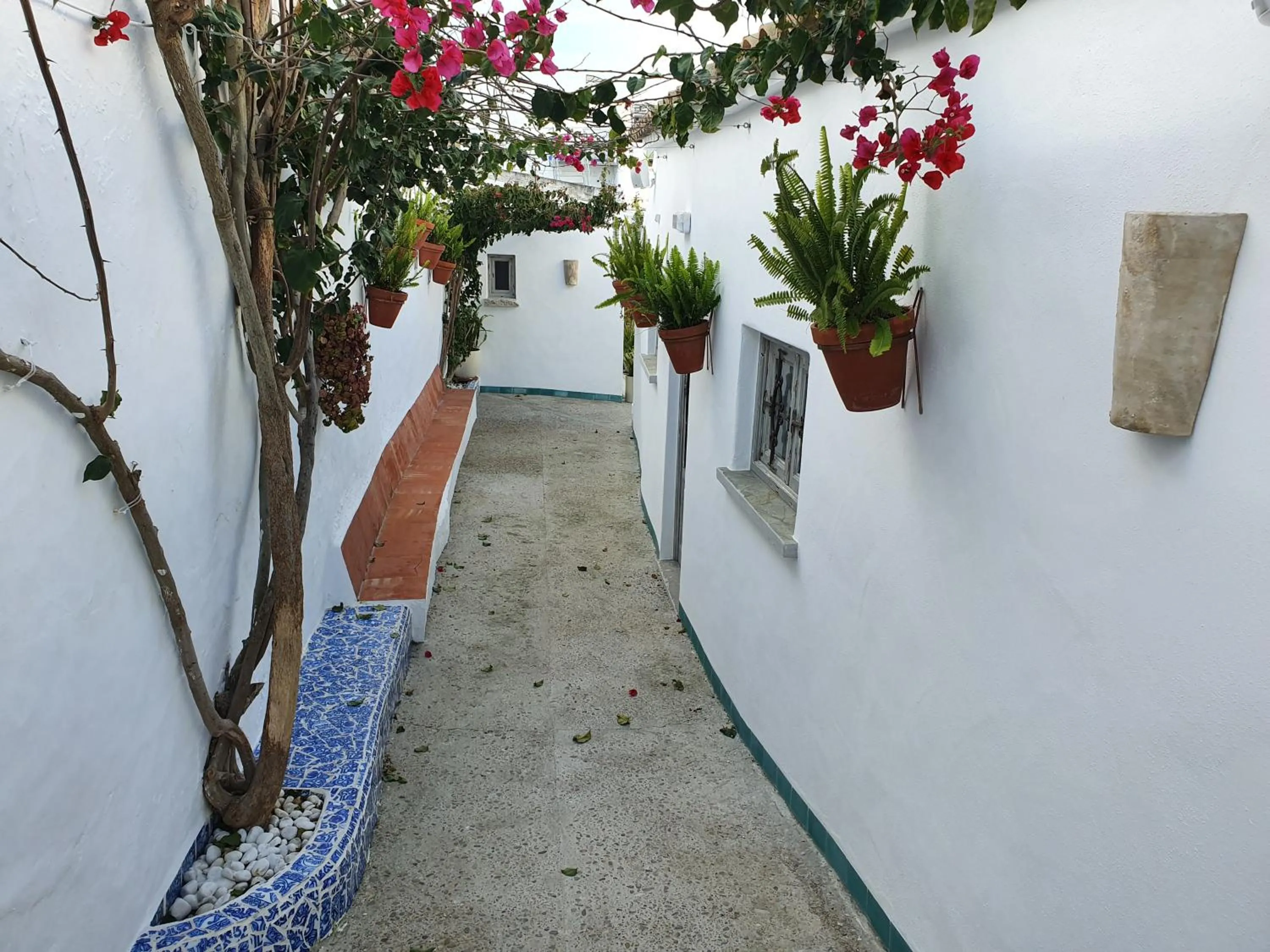 Patio in La Chanca