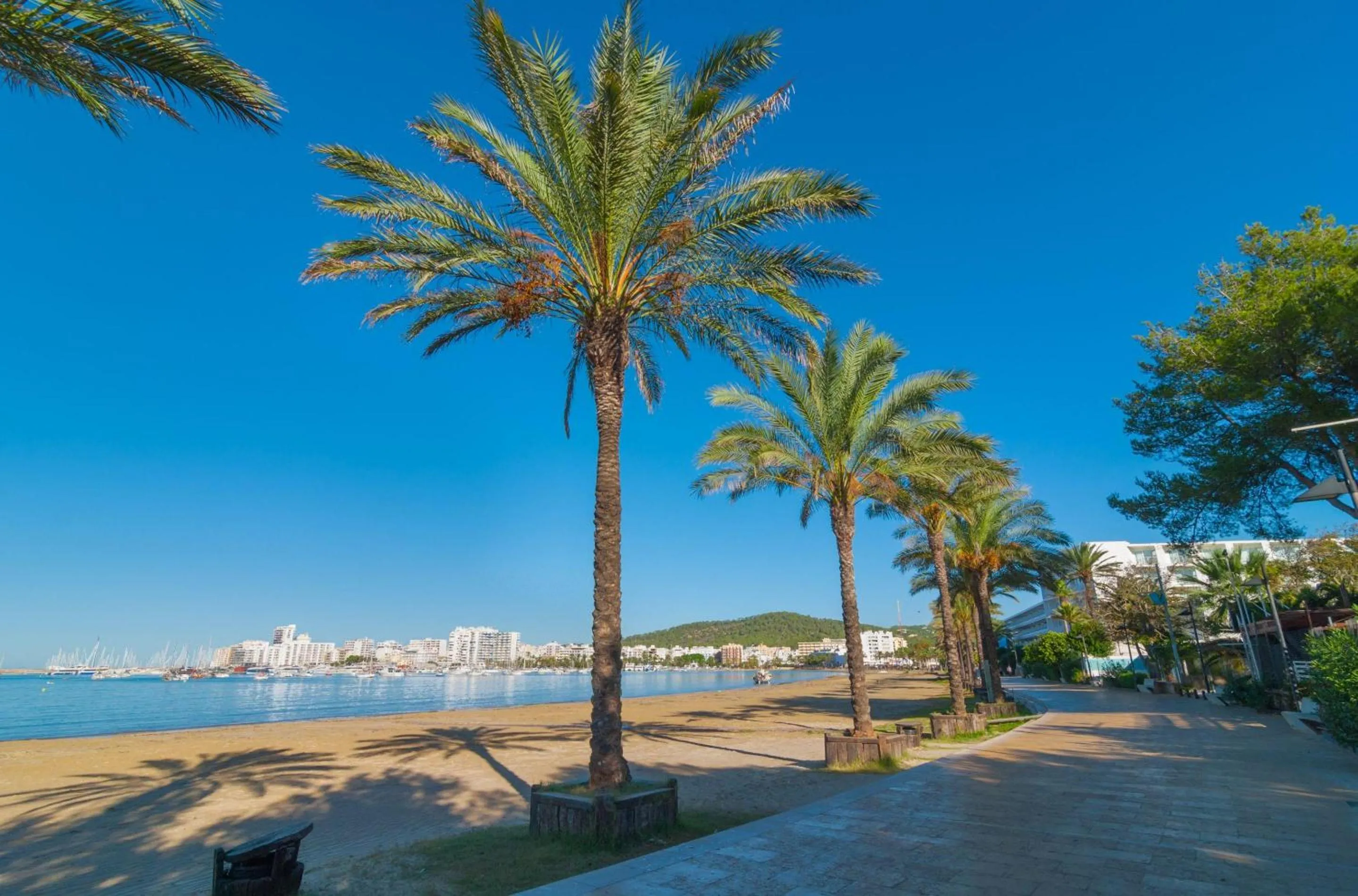 Beach in Hotel Puchet Ibiza