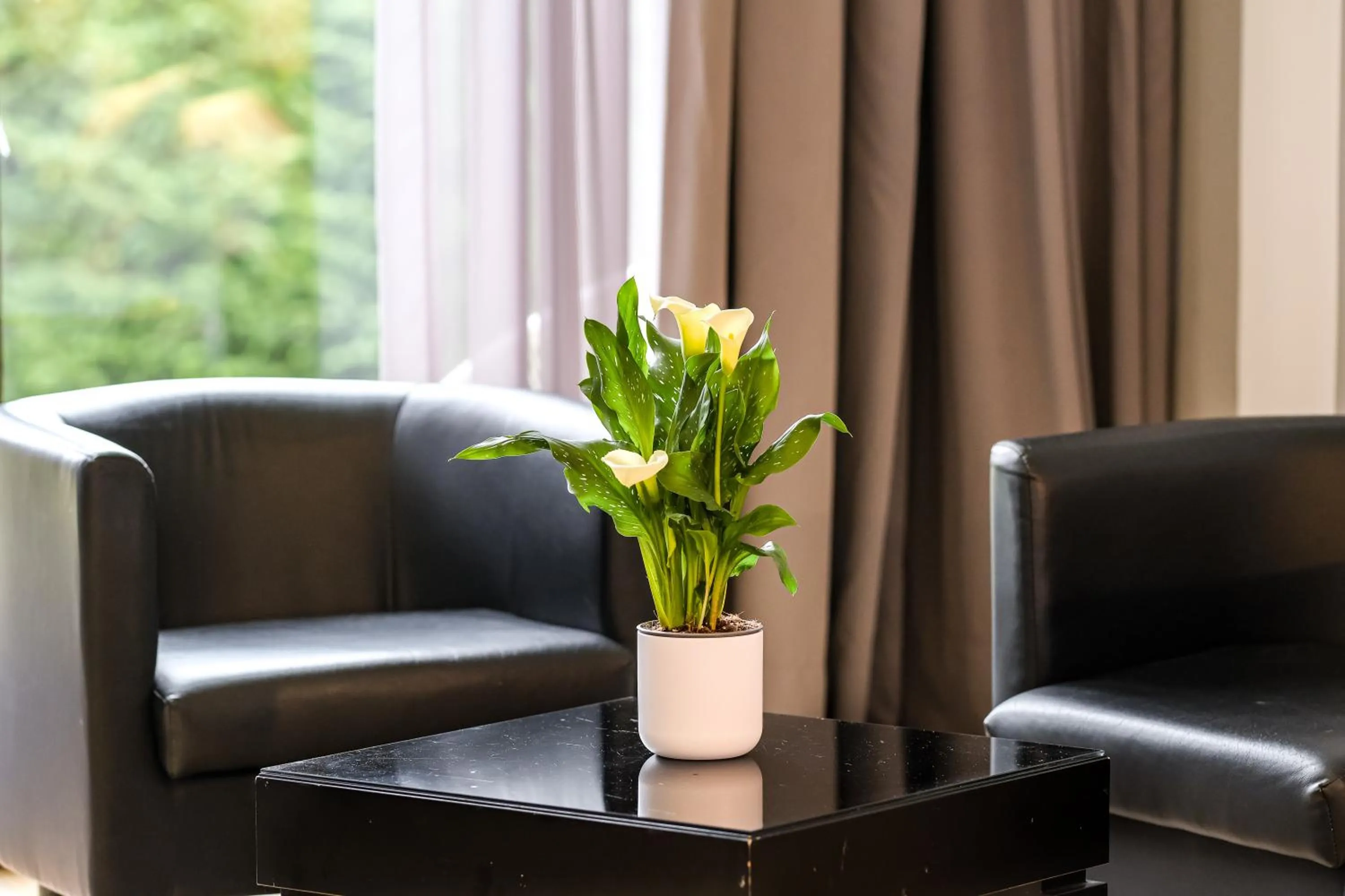 Photo of the whole room in Indiana Boutique Hotel