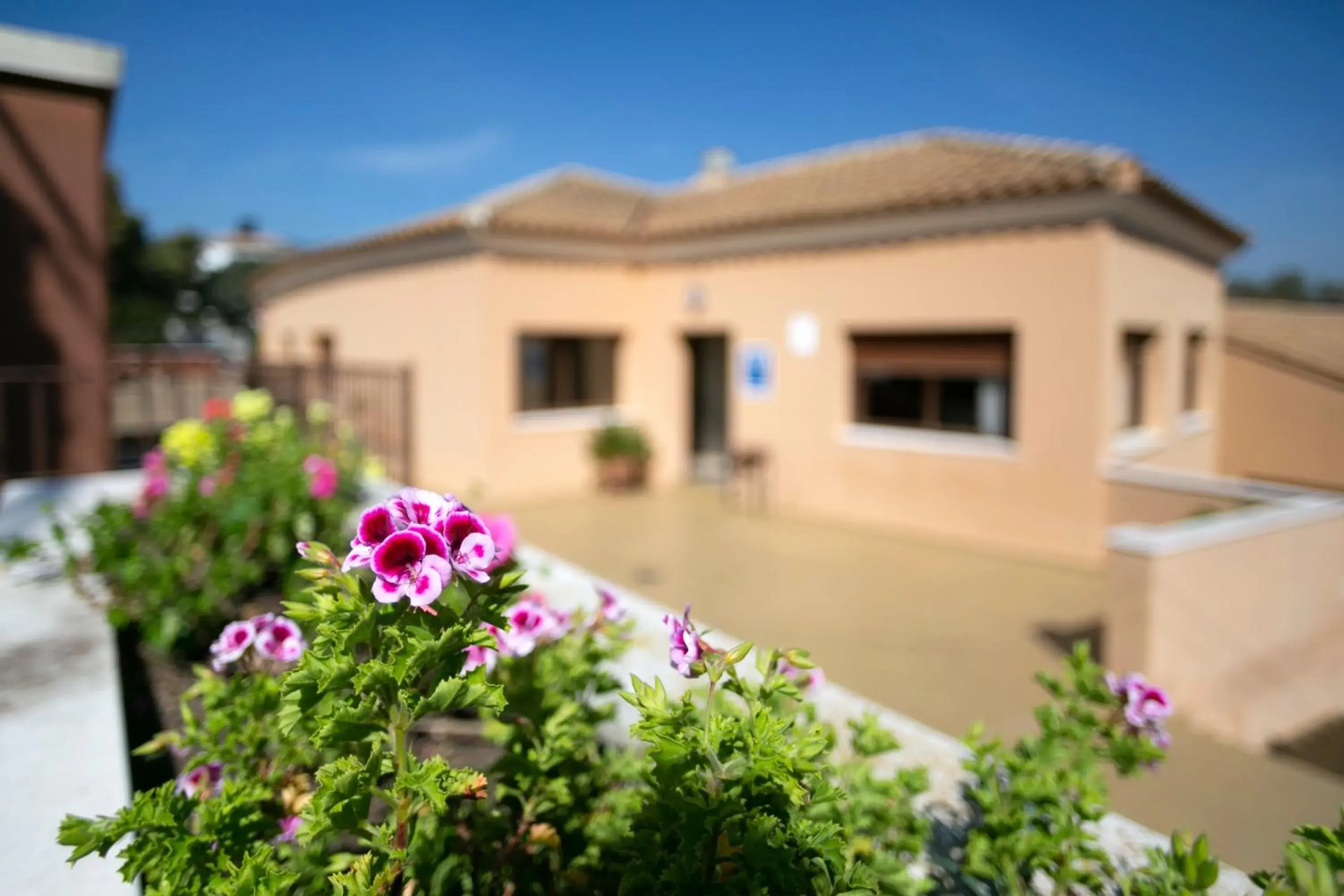 Property building in Apartamentos Turísticos La Castilleja Property building in Apartamentos Turísticos La Castilleja