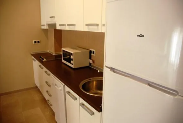 Kitchen or kitchenette in Apartamentos Turísticos La Castilleja