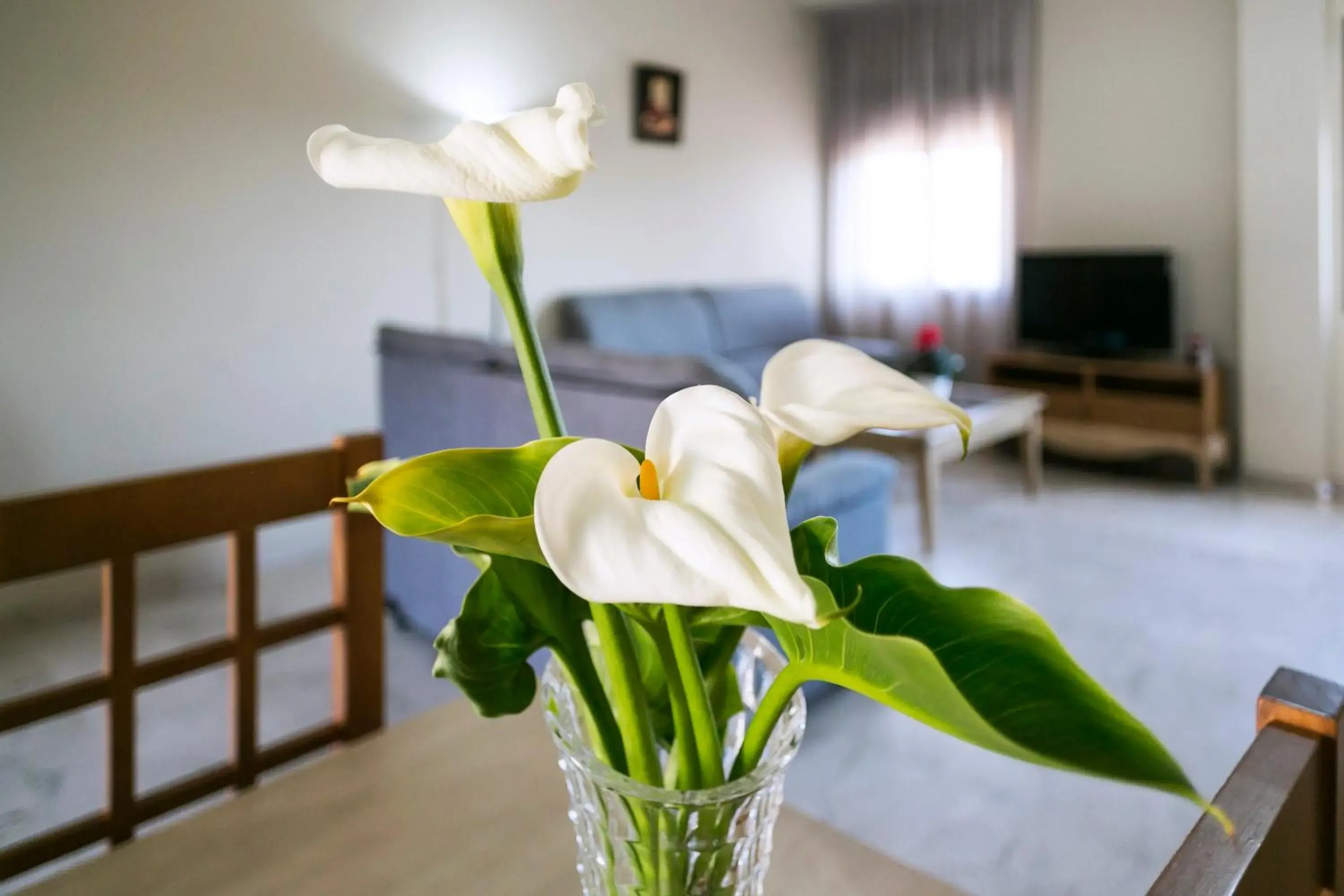 Seating area, Bed in Apartamentos Turísticos La Castilleja Seating area, Bed in Apartamentos Turísticos La Castilleja