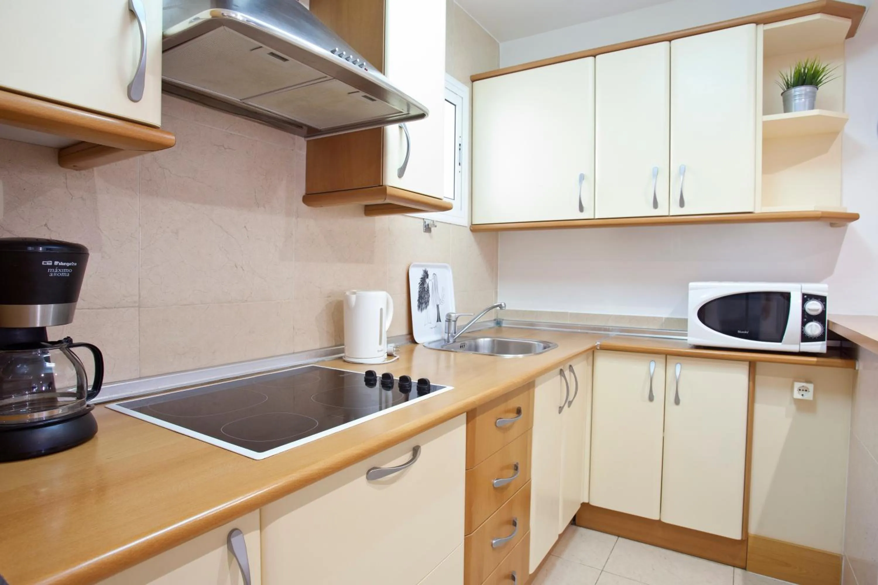 Kitchen or kitchenette in Apartamentos Ecuador Park