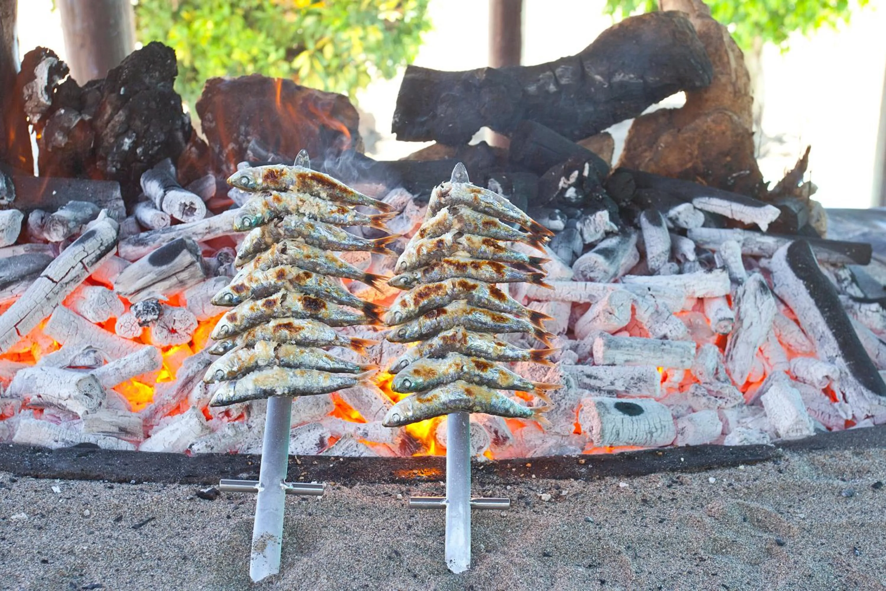 Activities in Apartamentos Ecuador Park