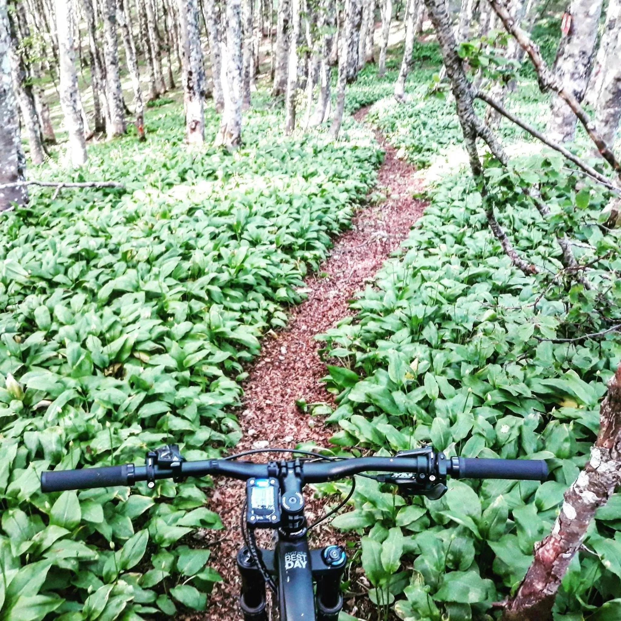 Hiking in Ostello Villafranca