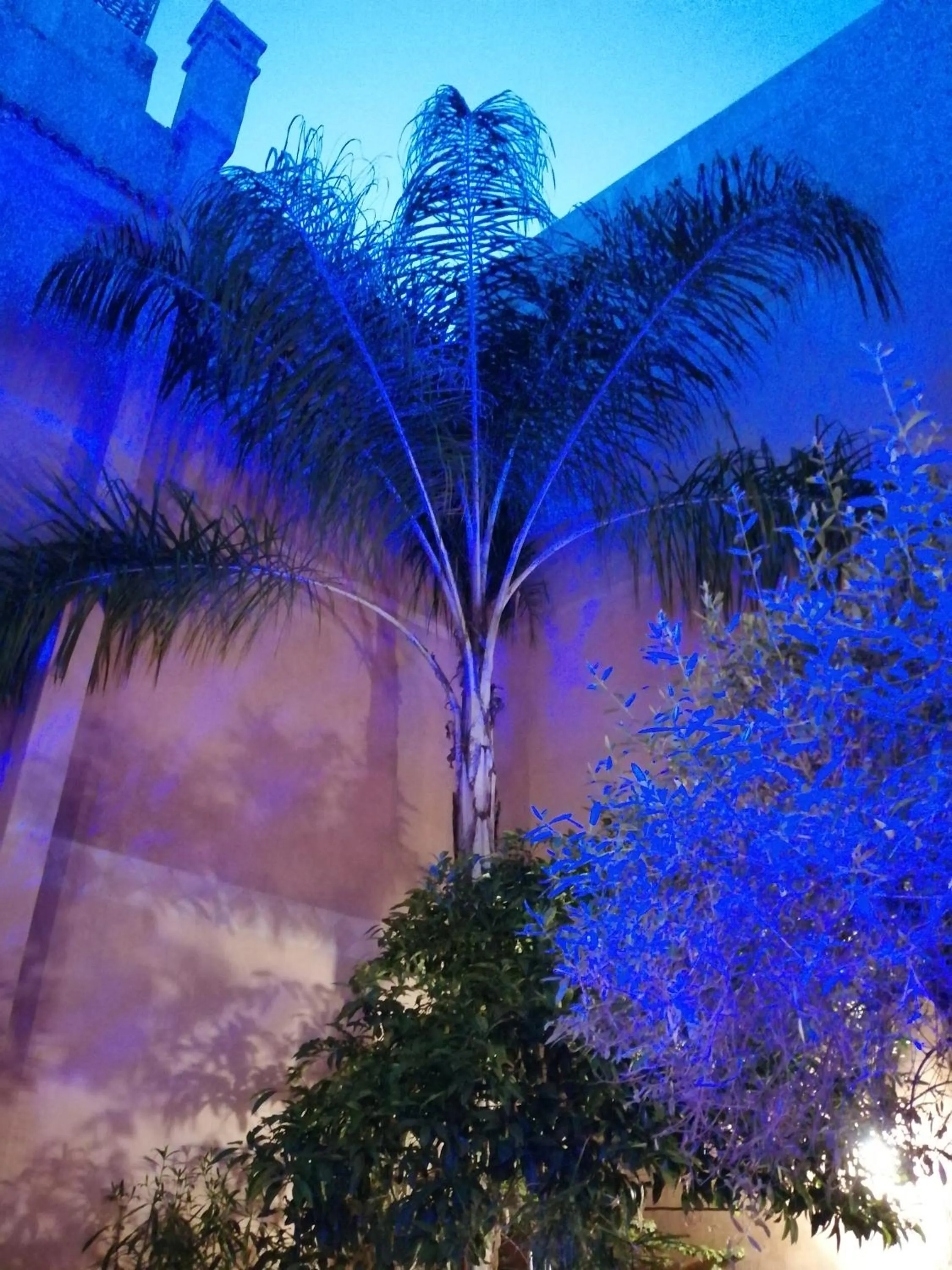 Les Bains de Fez Tara