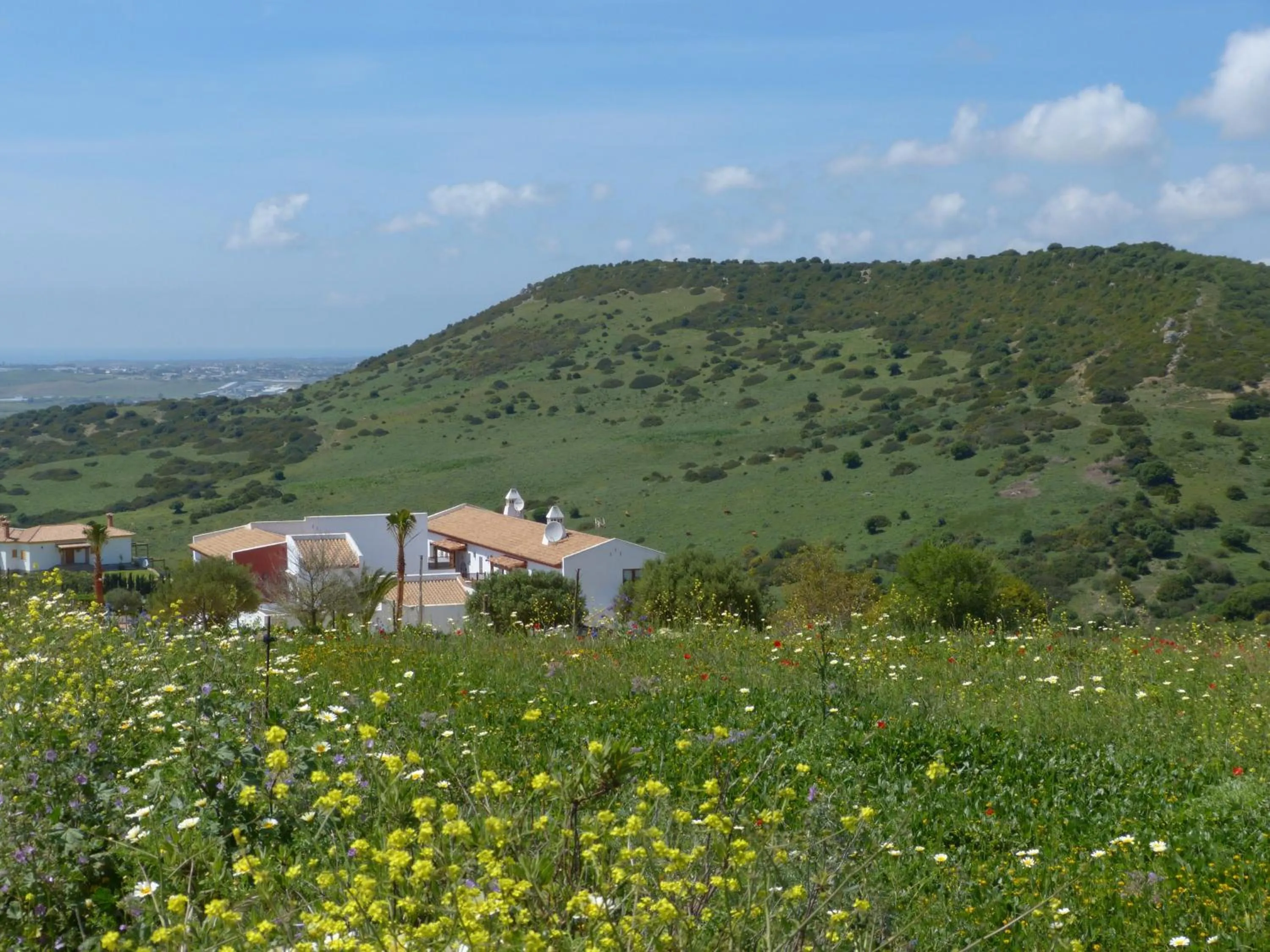Photo of the whole room in Hotel Sindhura