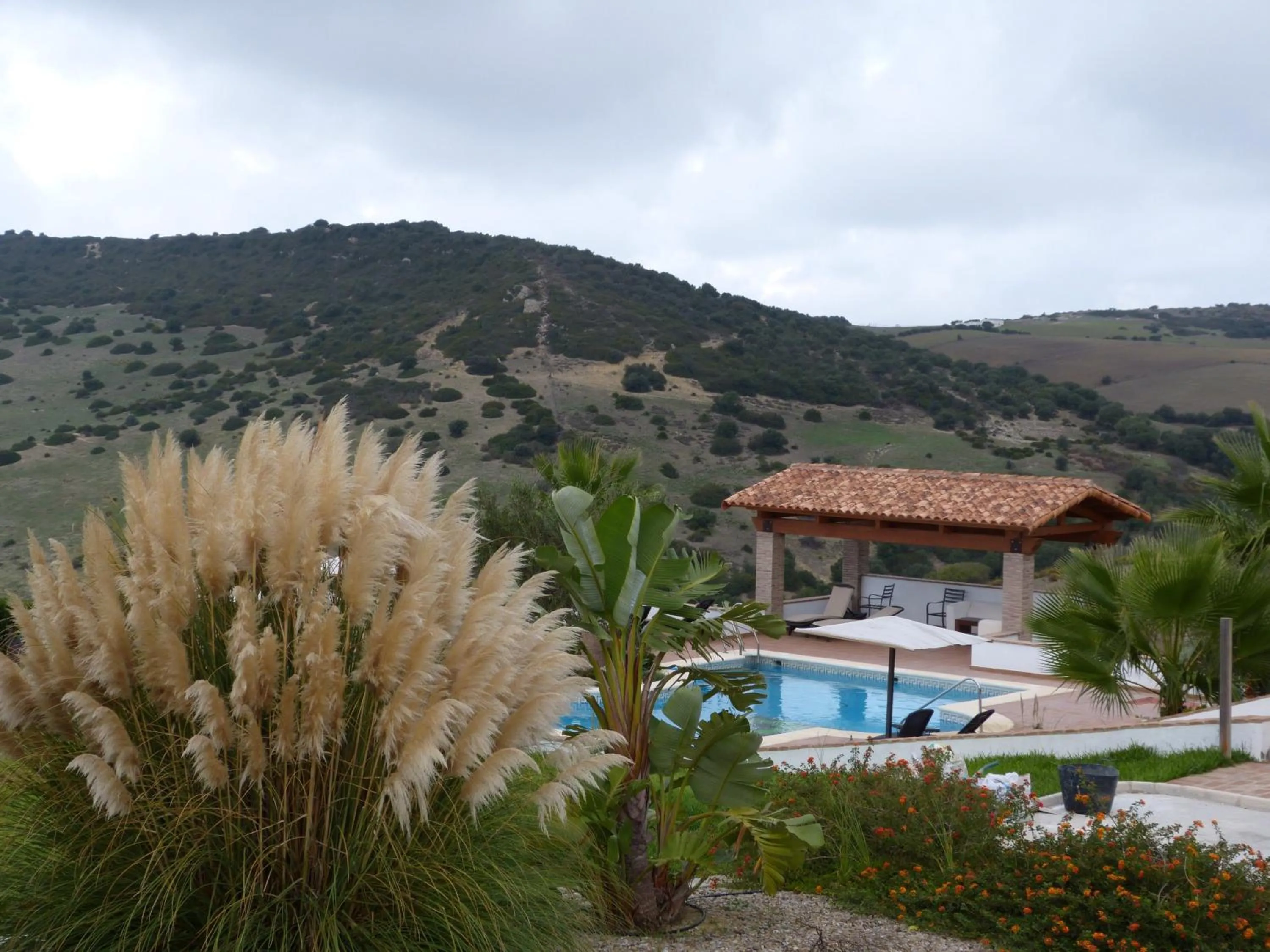 Pool view in Hotel Sindhura