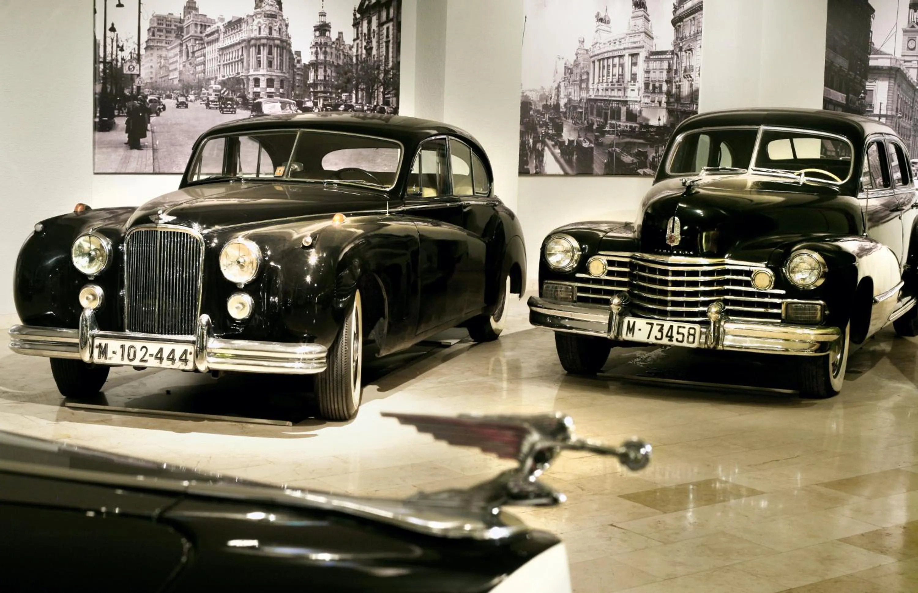 Entertainment in Apartosuites Jardines de Sabatini