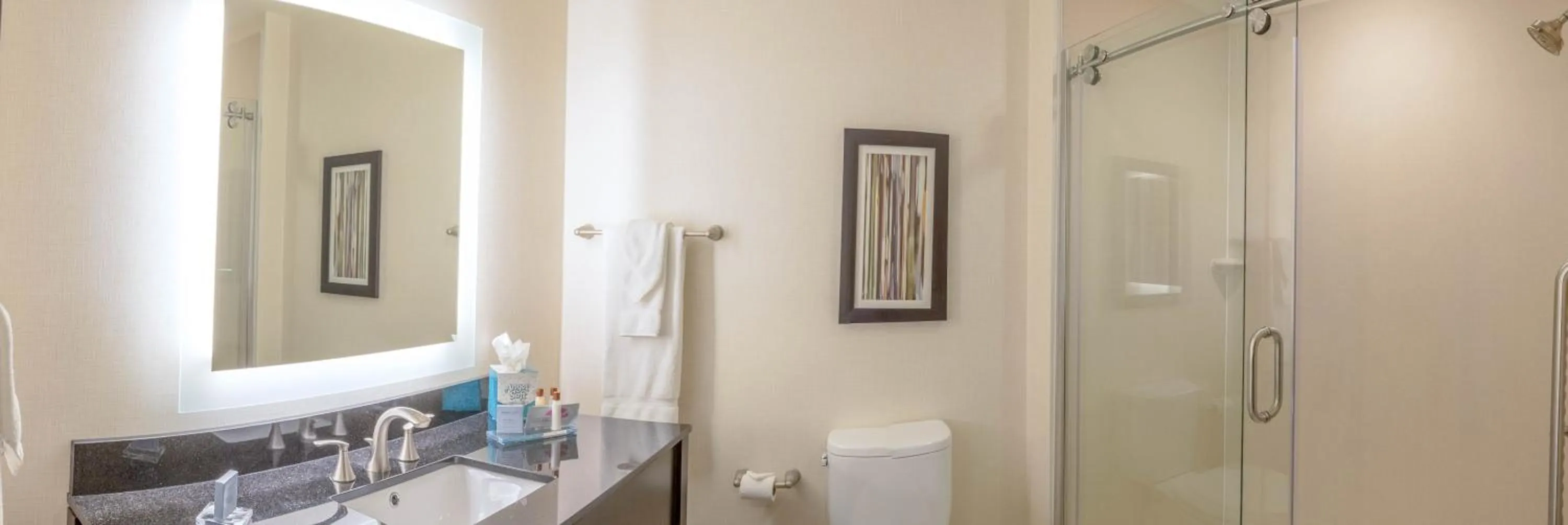 Shower in Wingate by Wyndham Loveland Johnstown