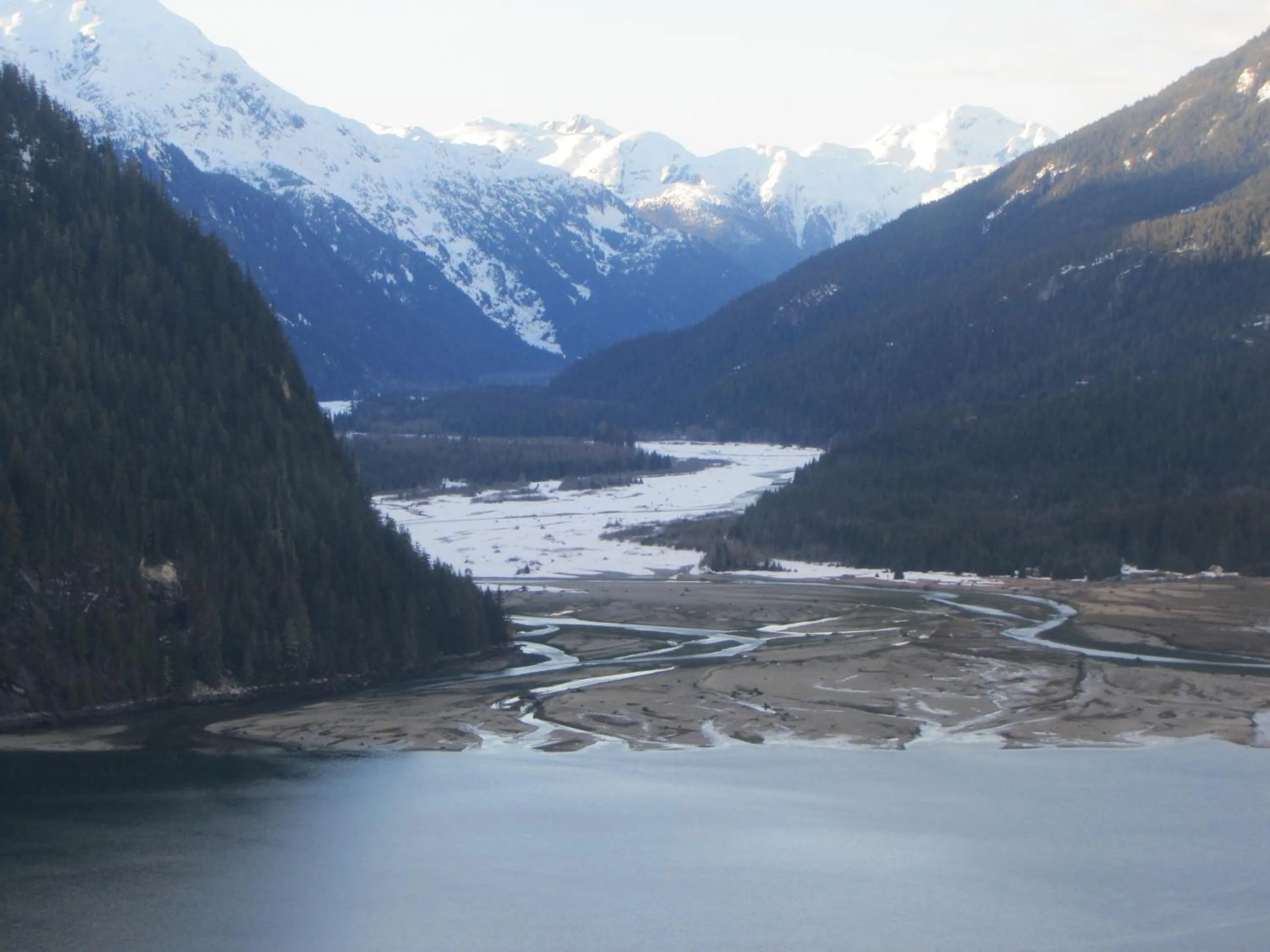 Natural landscape in Guesthouse Austria