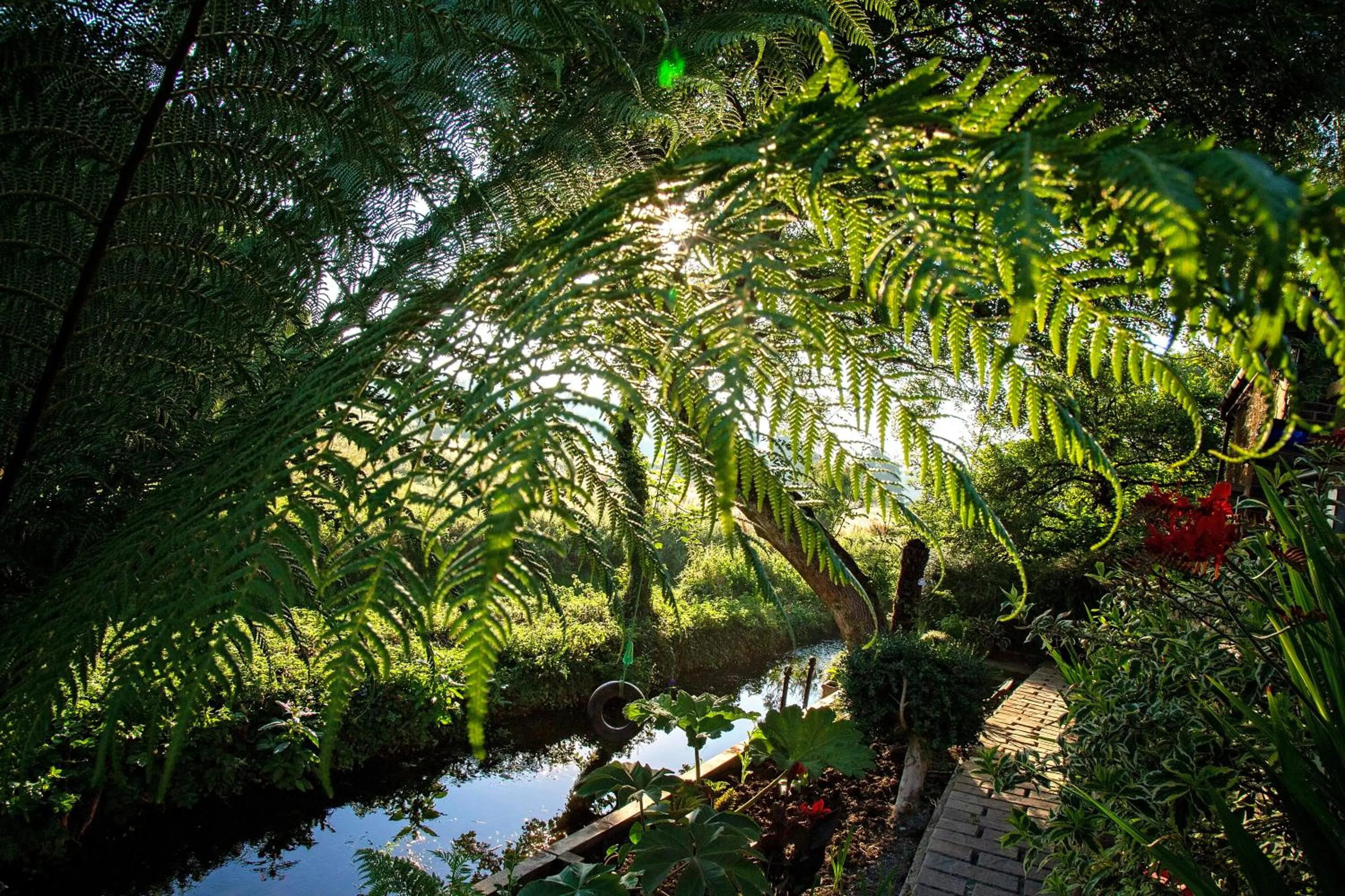 Natural landscape in Waterfield House B&B
