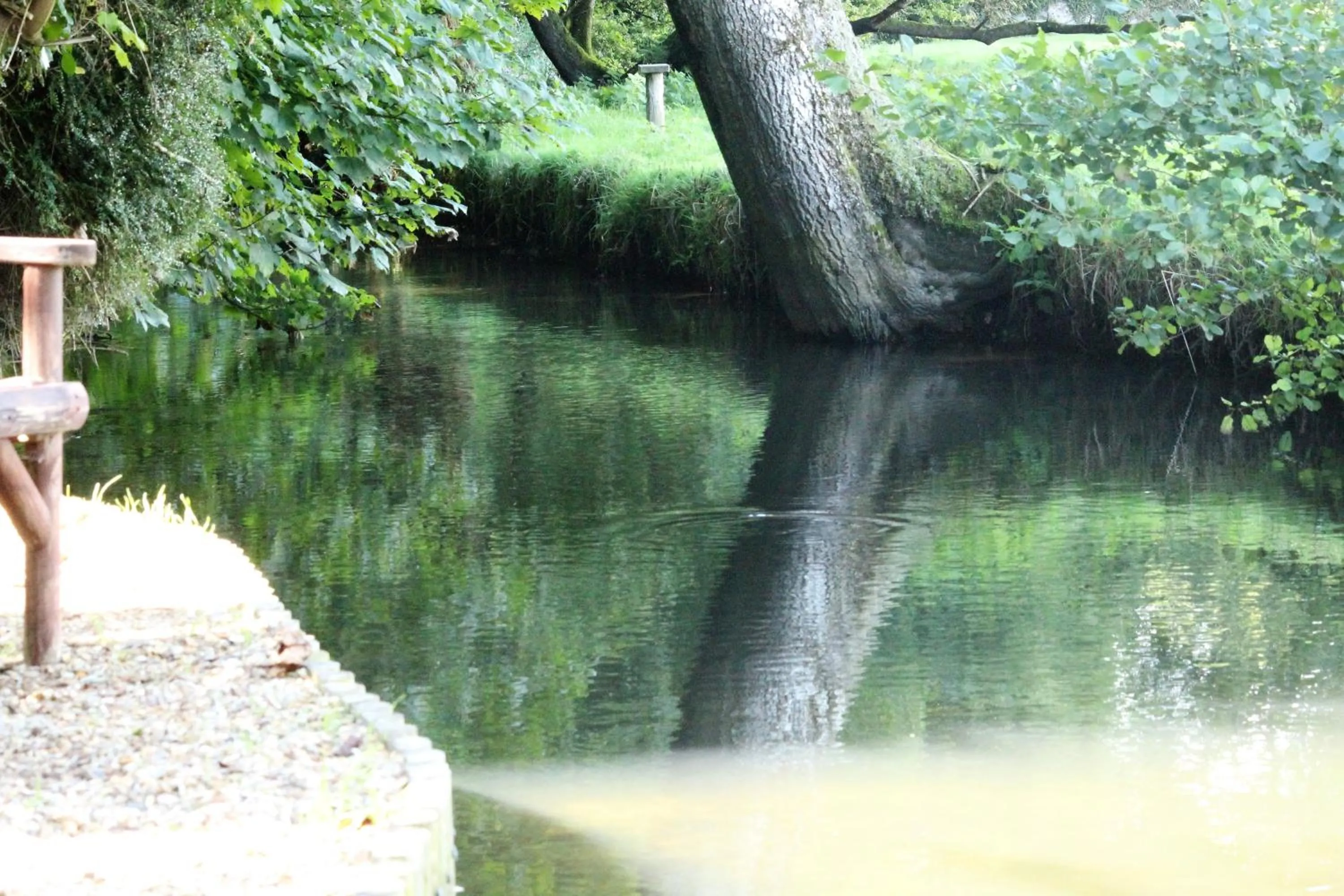 Natural landscape in Waterfield House B&B