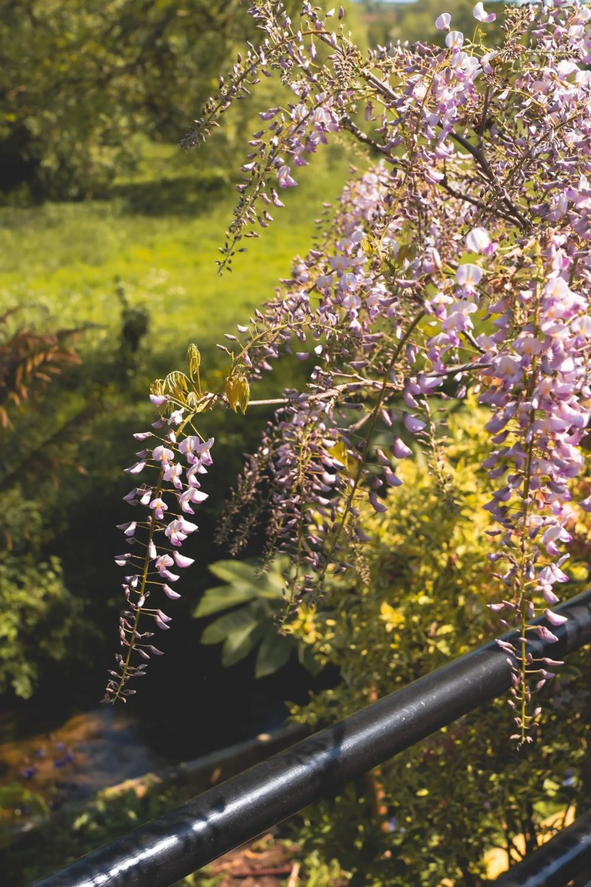 Waterfield House B&B