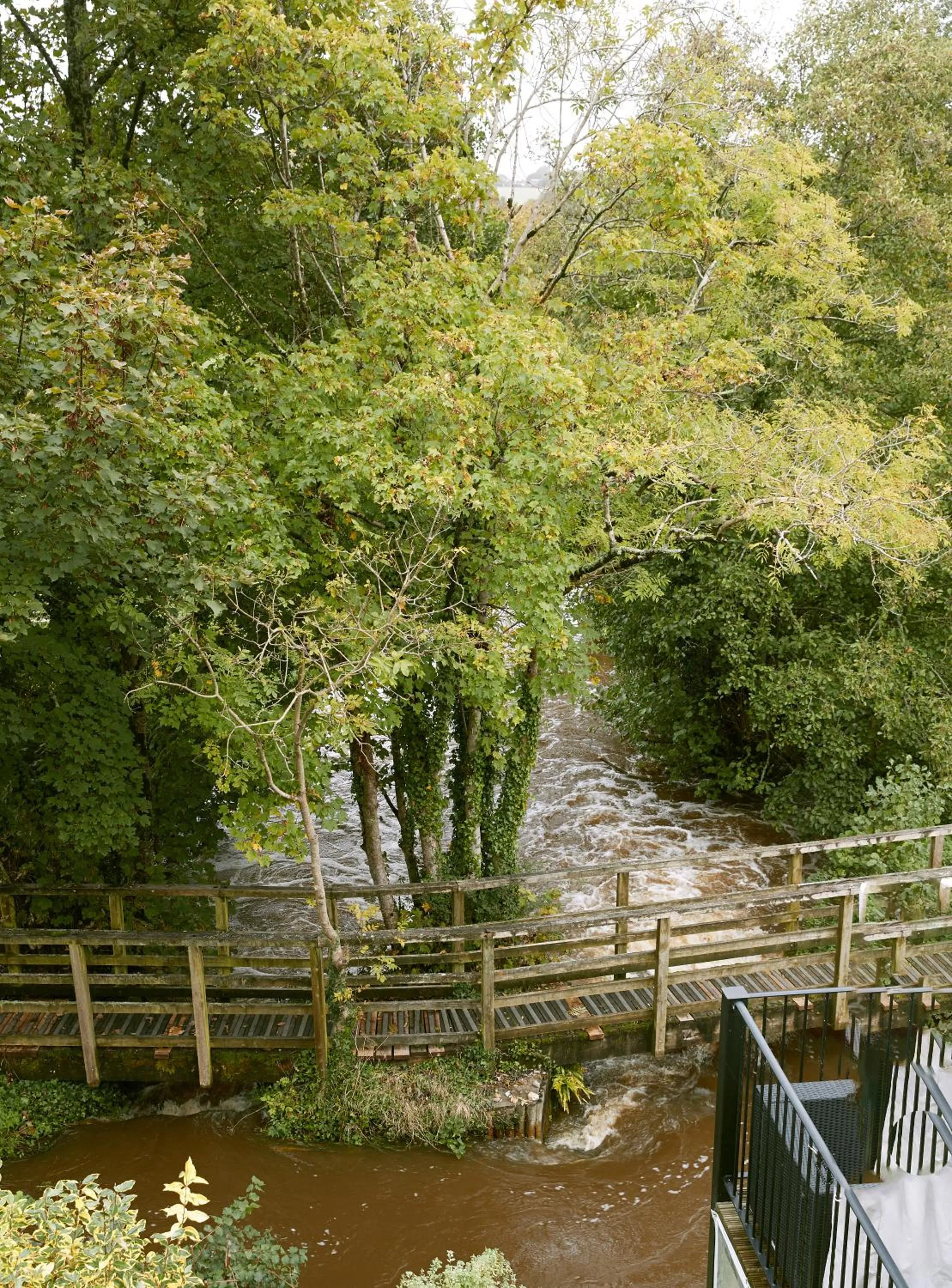 Natural landscape in Waterfield House B&B