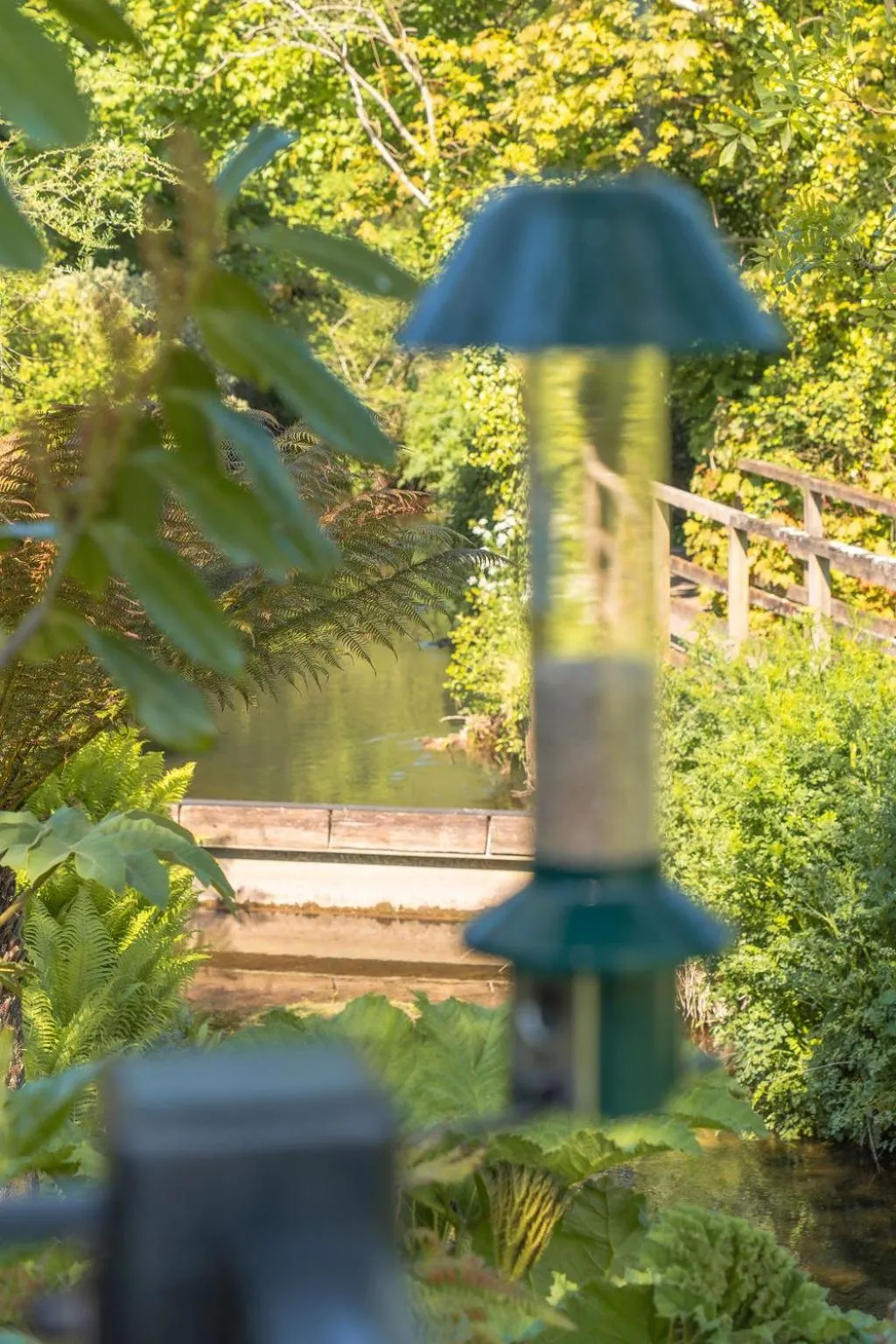 Natural landscape in Waterfield House B&B