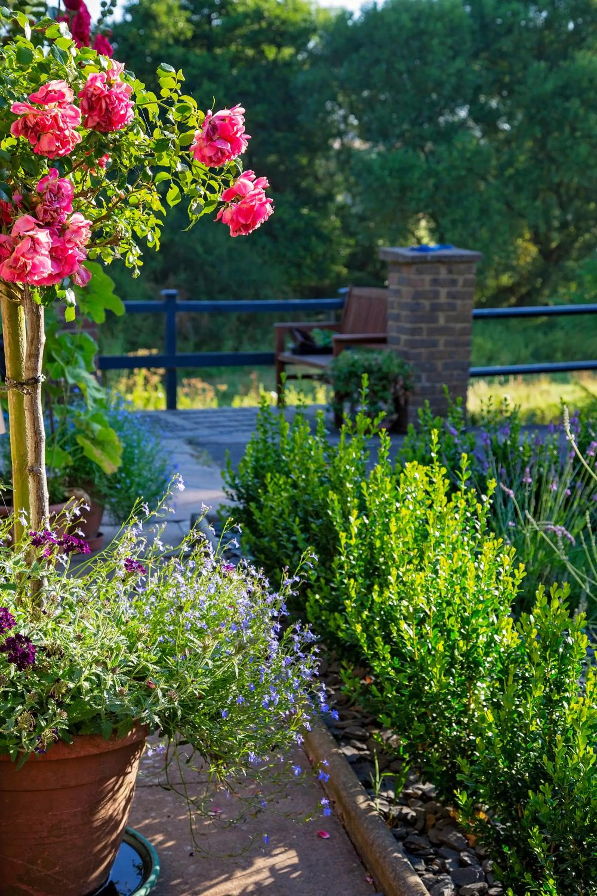 Garden in Waterfield House B&B