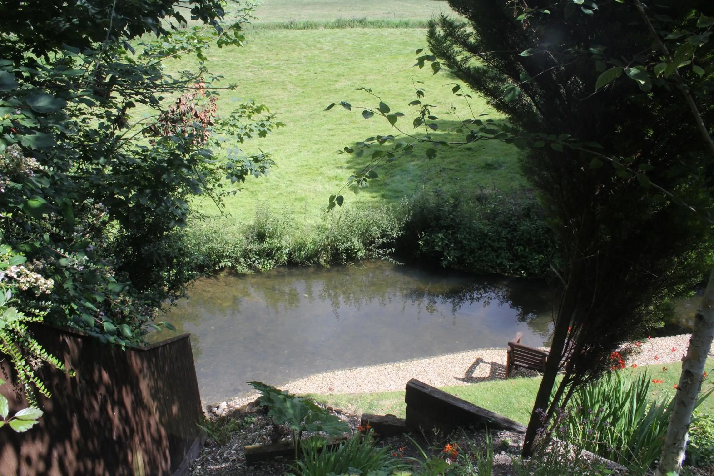 Garden in Waterfield House B&B