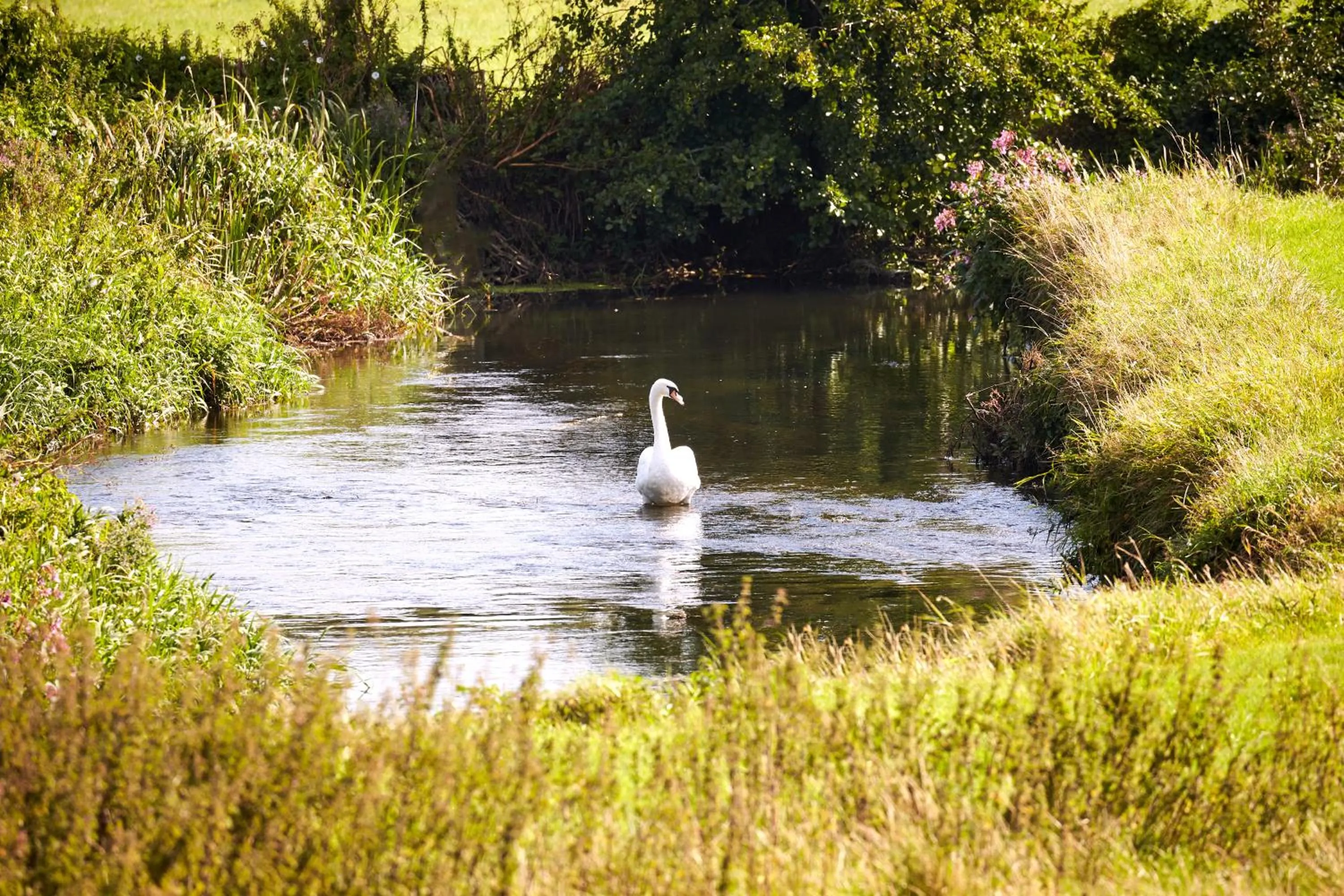 Natural landscape in Waterfield House B&B