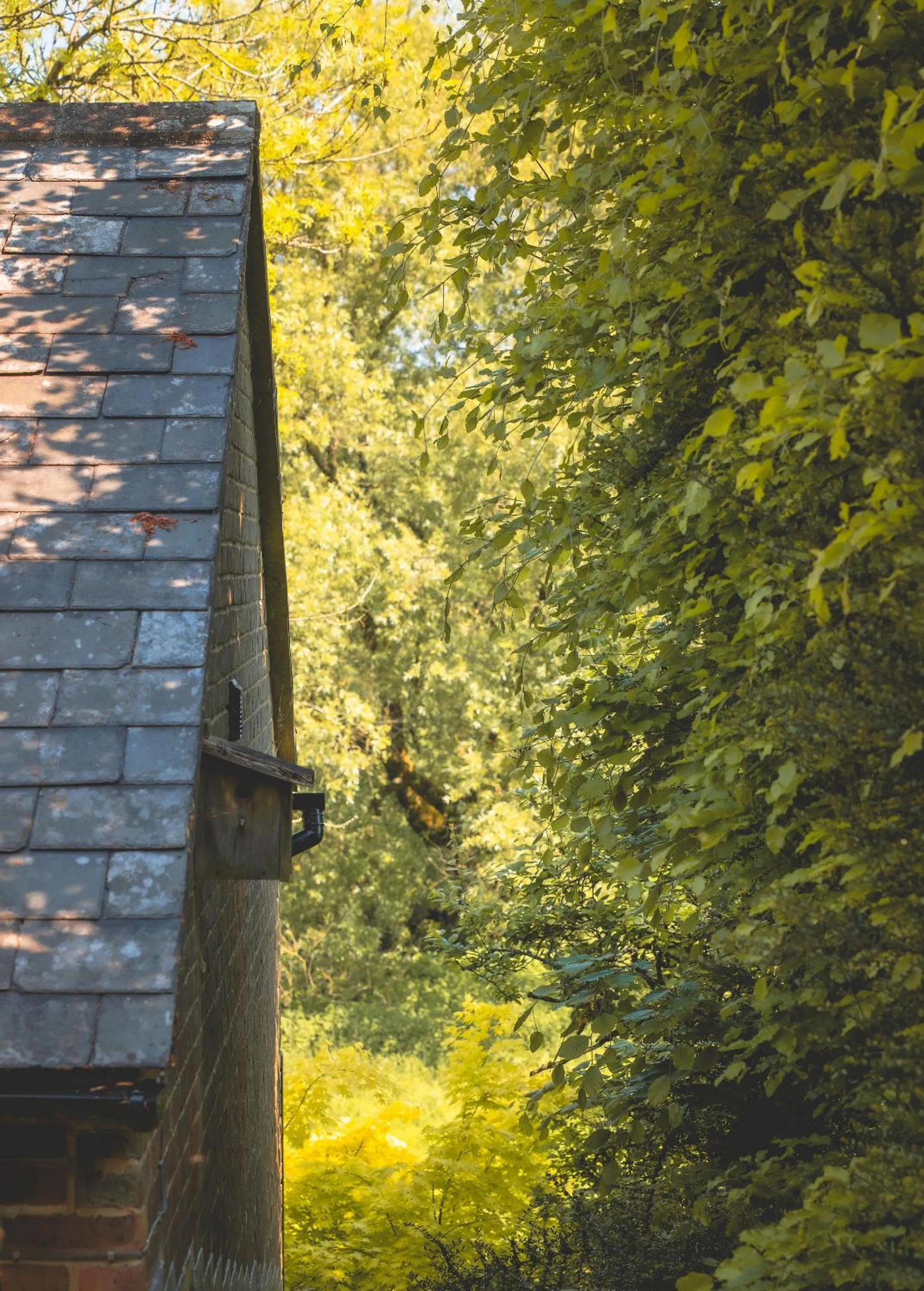 Waterfield House B&B