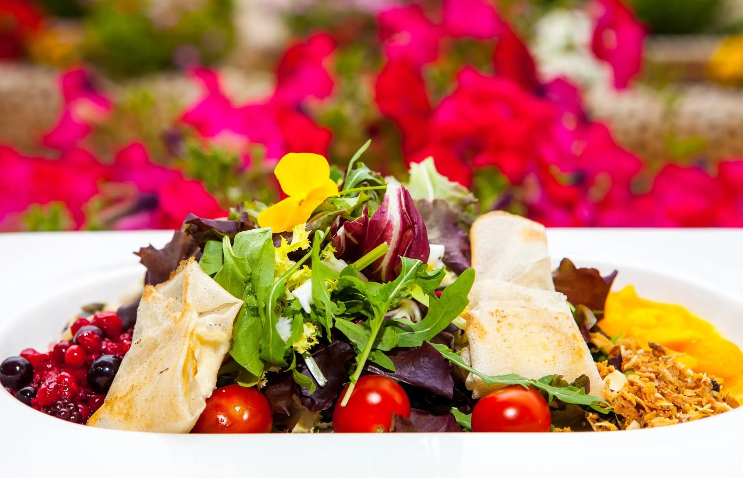 Food in Hotel Ses Figueres