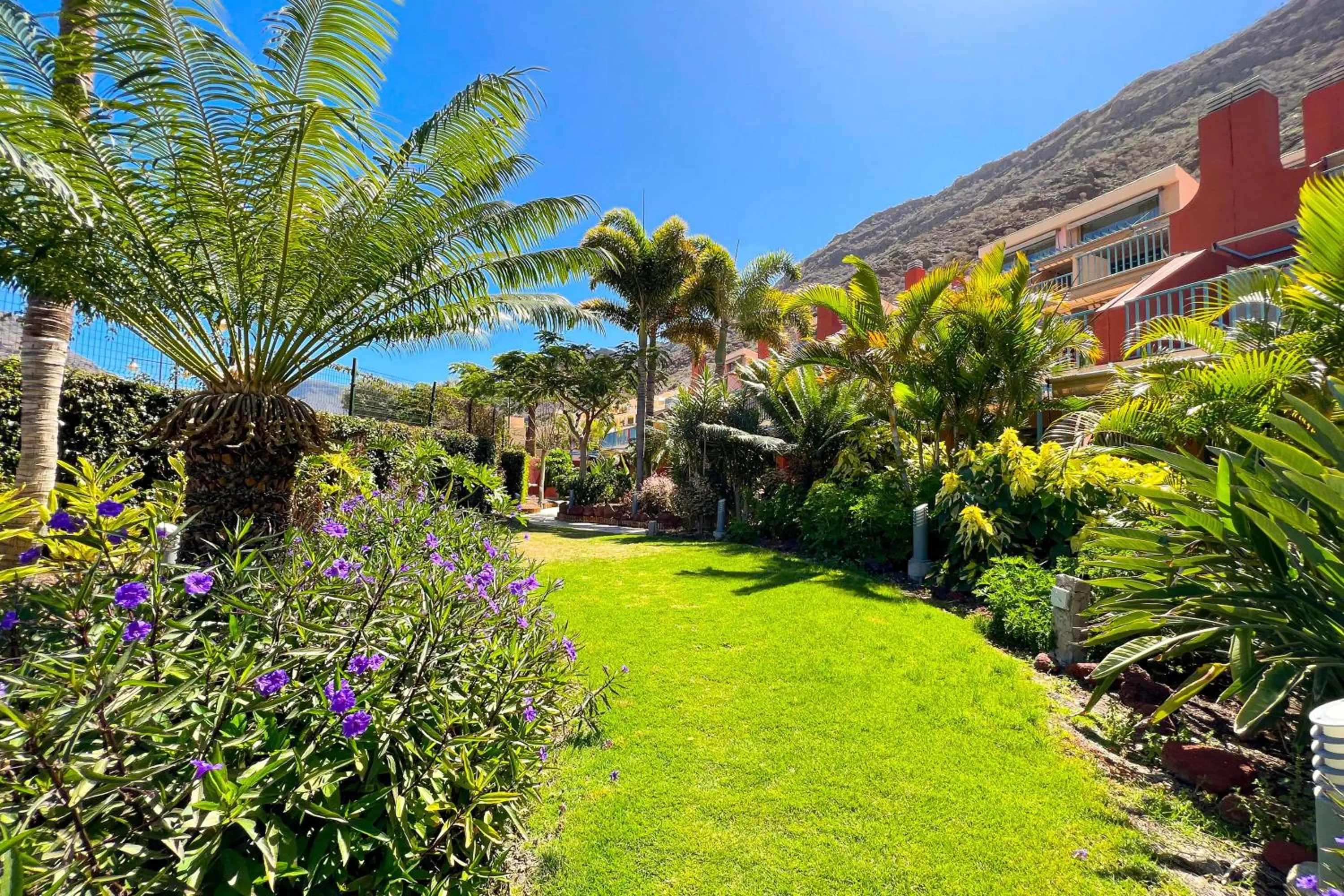 Garden in Apartamentos Cordial Mogán Valle