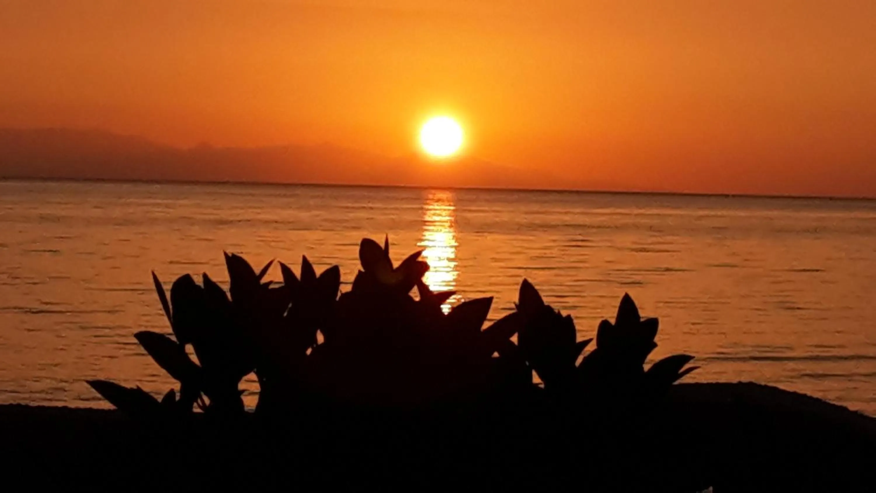 Sea view in La Casa di Nina