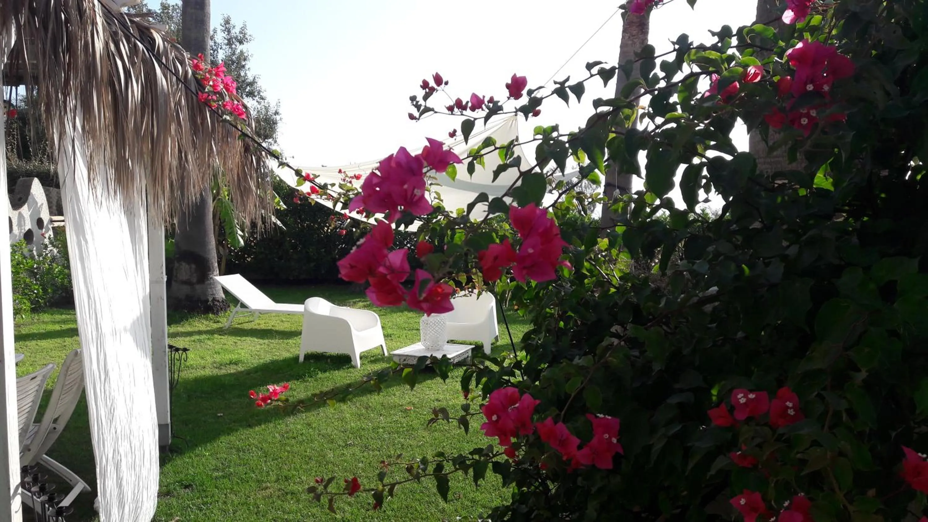 Garden in La Casa di Nina