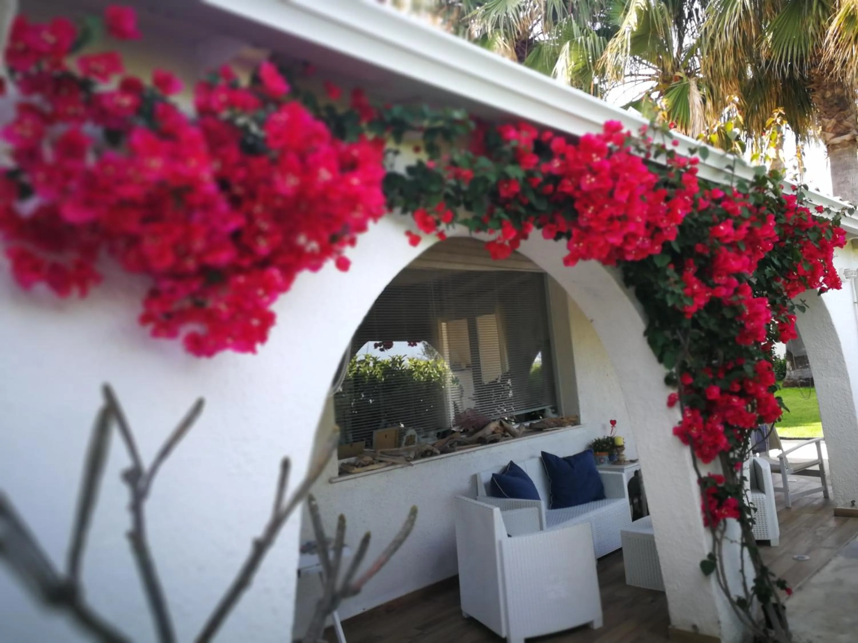 Patio in La Casa di Nina