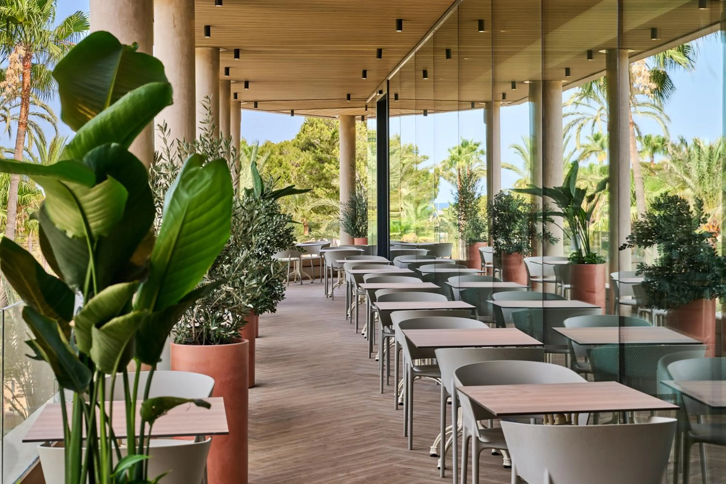 Restaurant/places to eat in Grupotel Cala Marsal Nature Hotel - New Reopening 2025