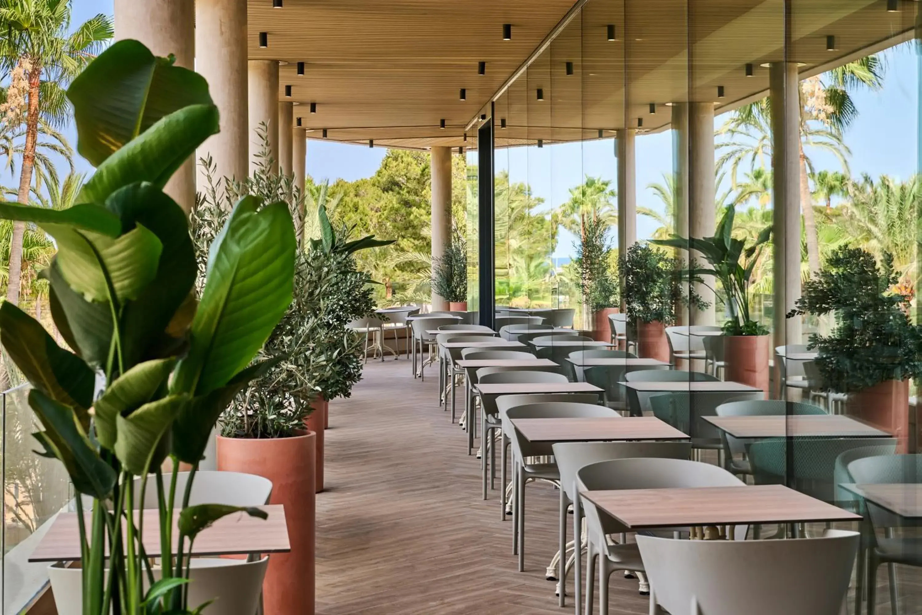 Restaurant/places to eat in Grupotel Cala Marsal Nature Hotel - New Reopening 2025 Restaurant/places to eat in Grupotel Cala Marsal Nature Hotel - New Reopening 2025
