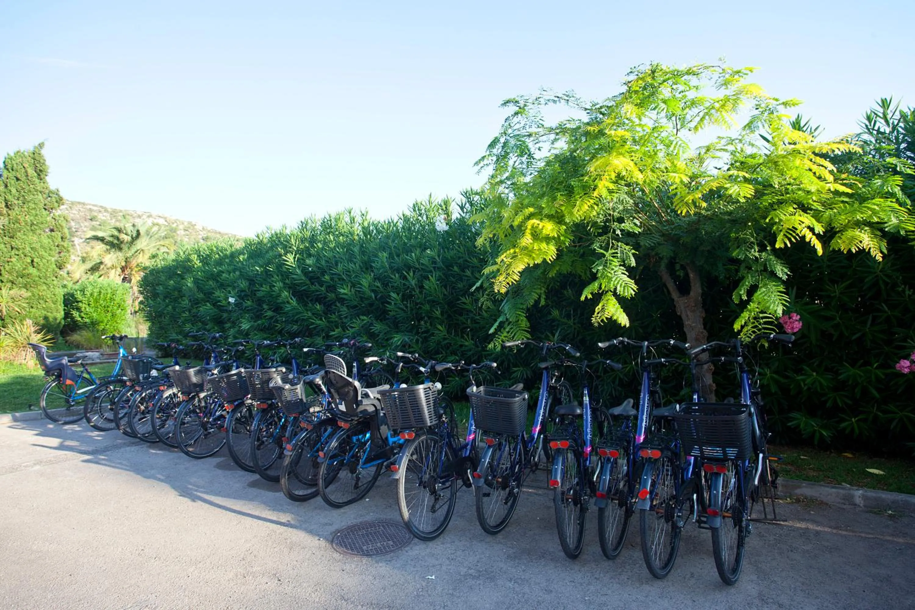 Cycling in Hotel Bahia Pollensa