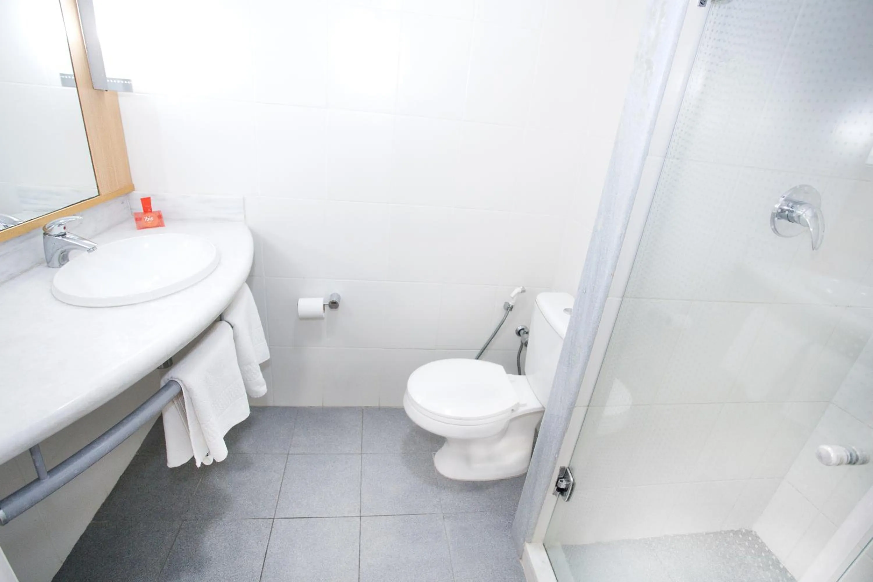 Bathroom in ibis Feira de Santana
