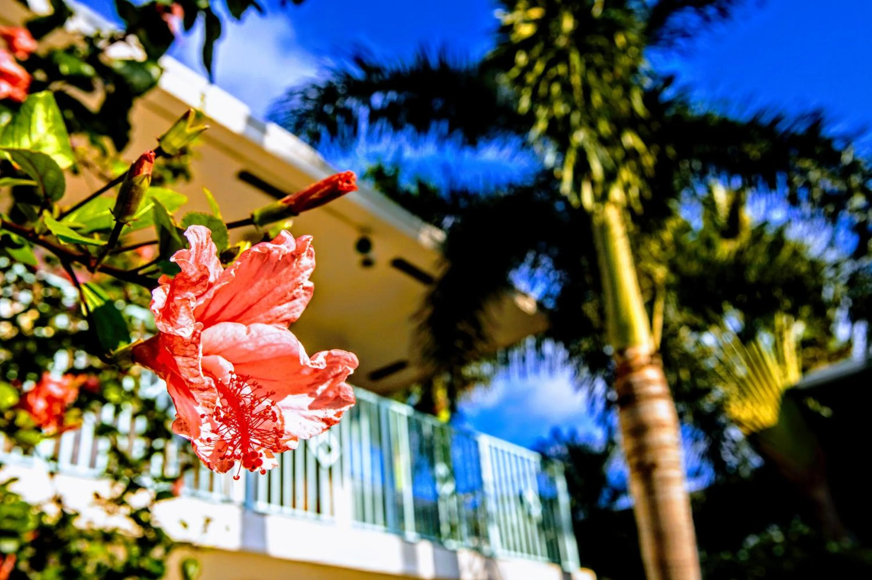 Property building in Villa Venezia