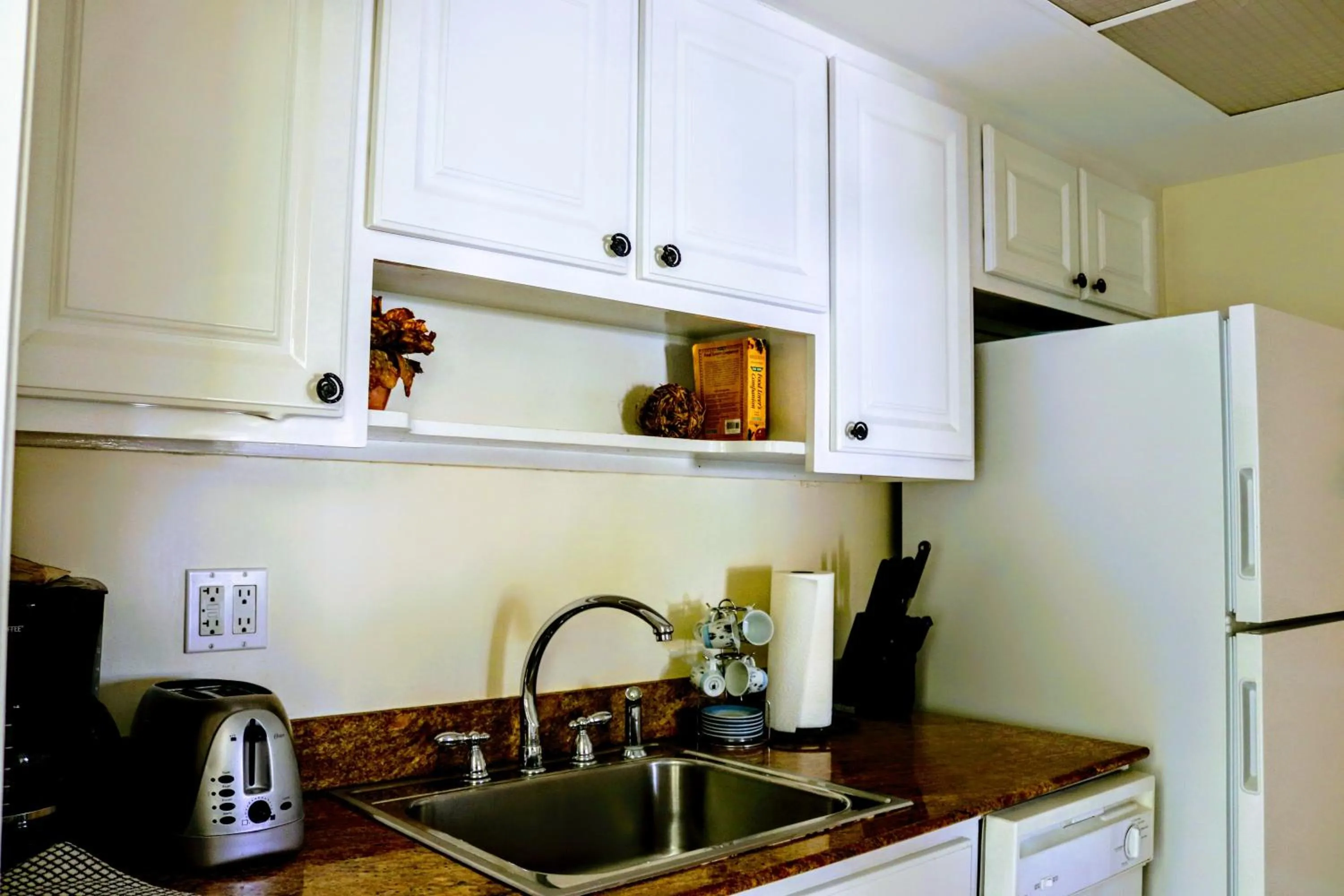 Kitchen or kitchenette in Villa Venezia