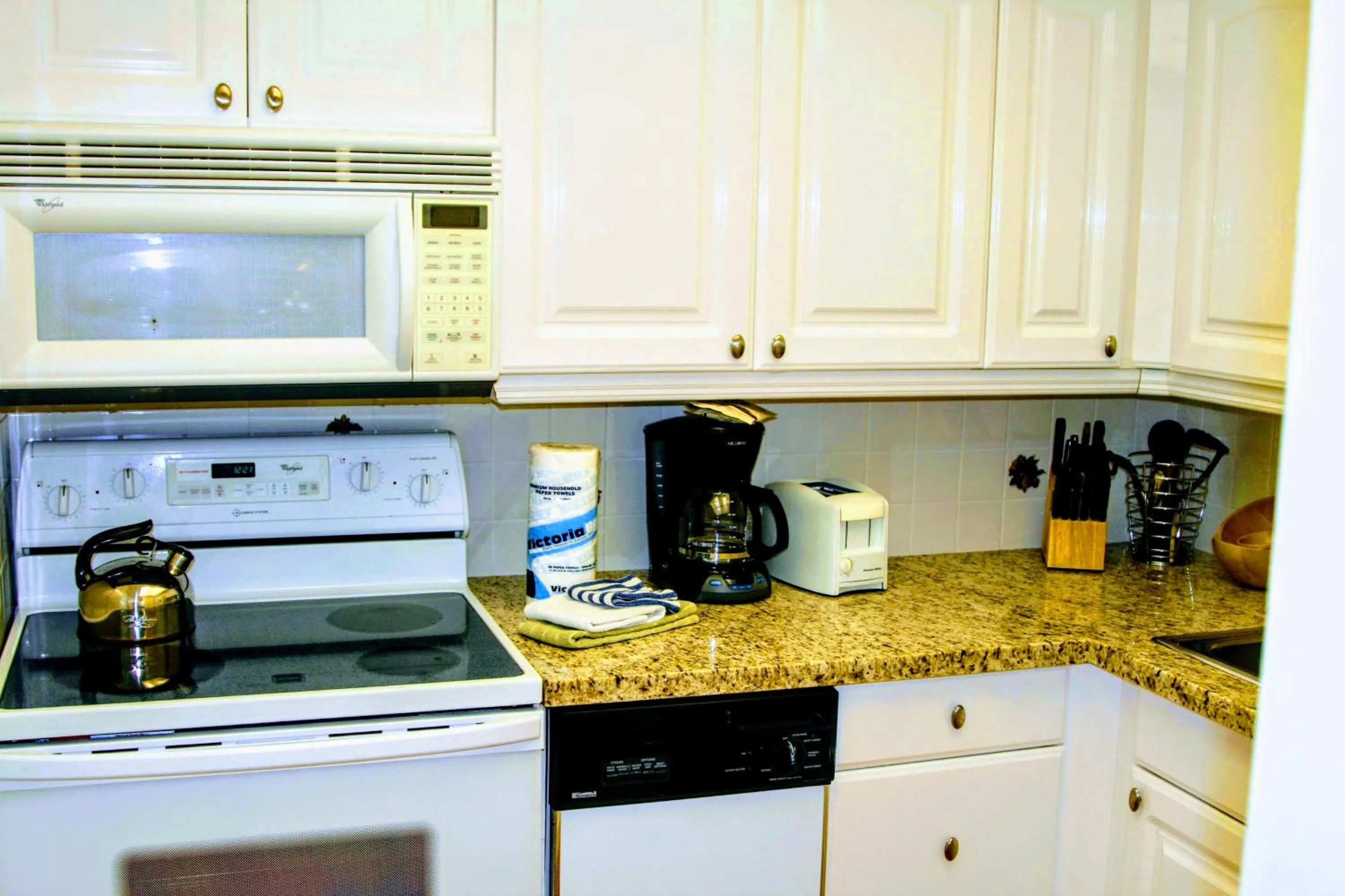 Kitchen or kitchenette in Villa Venezia
