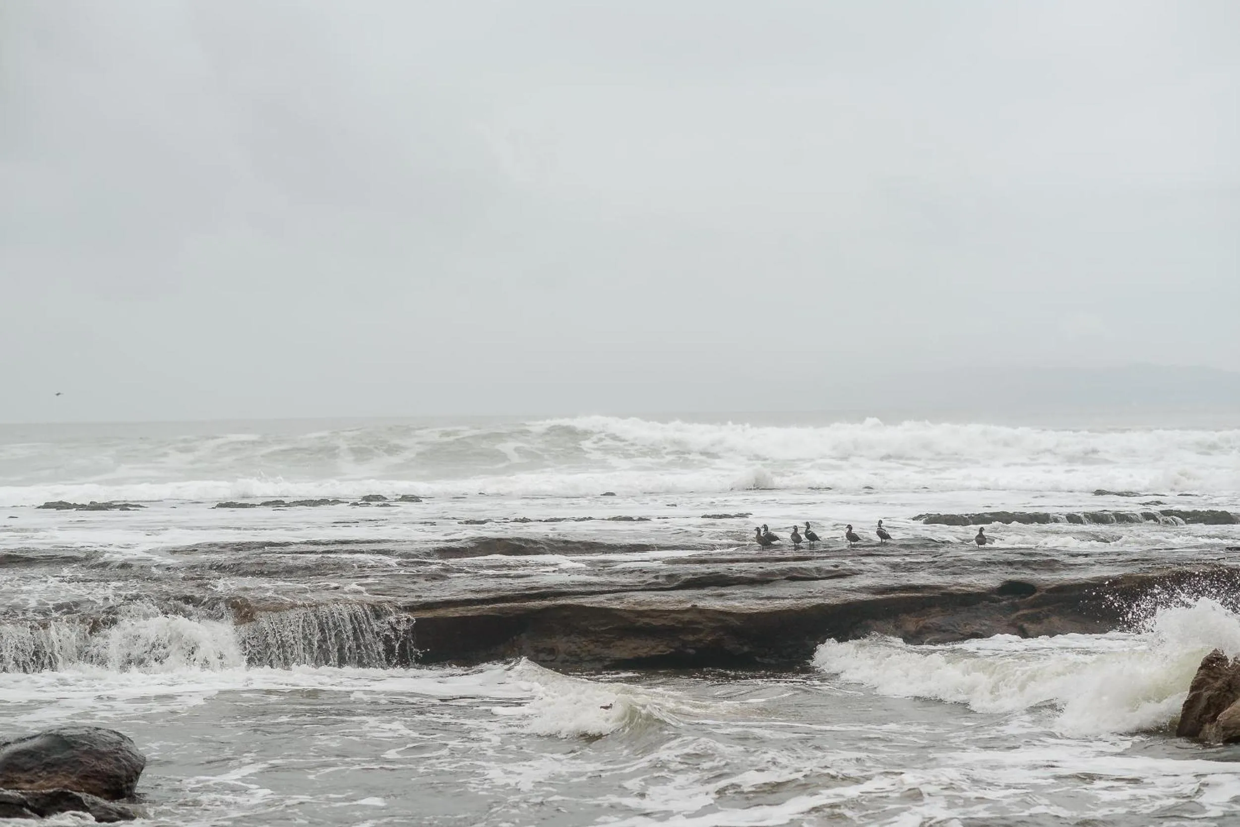 Natural landscape in Fish Tales Cottage