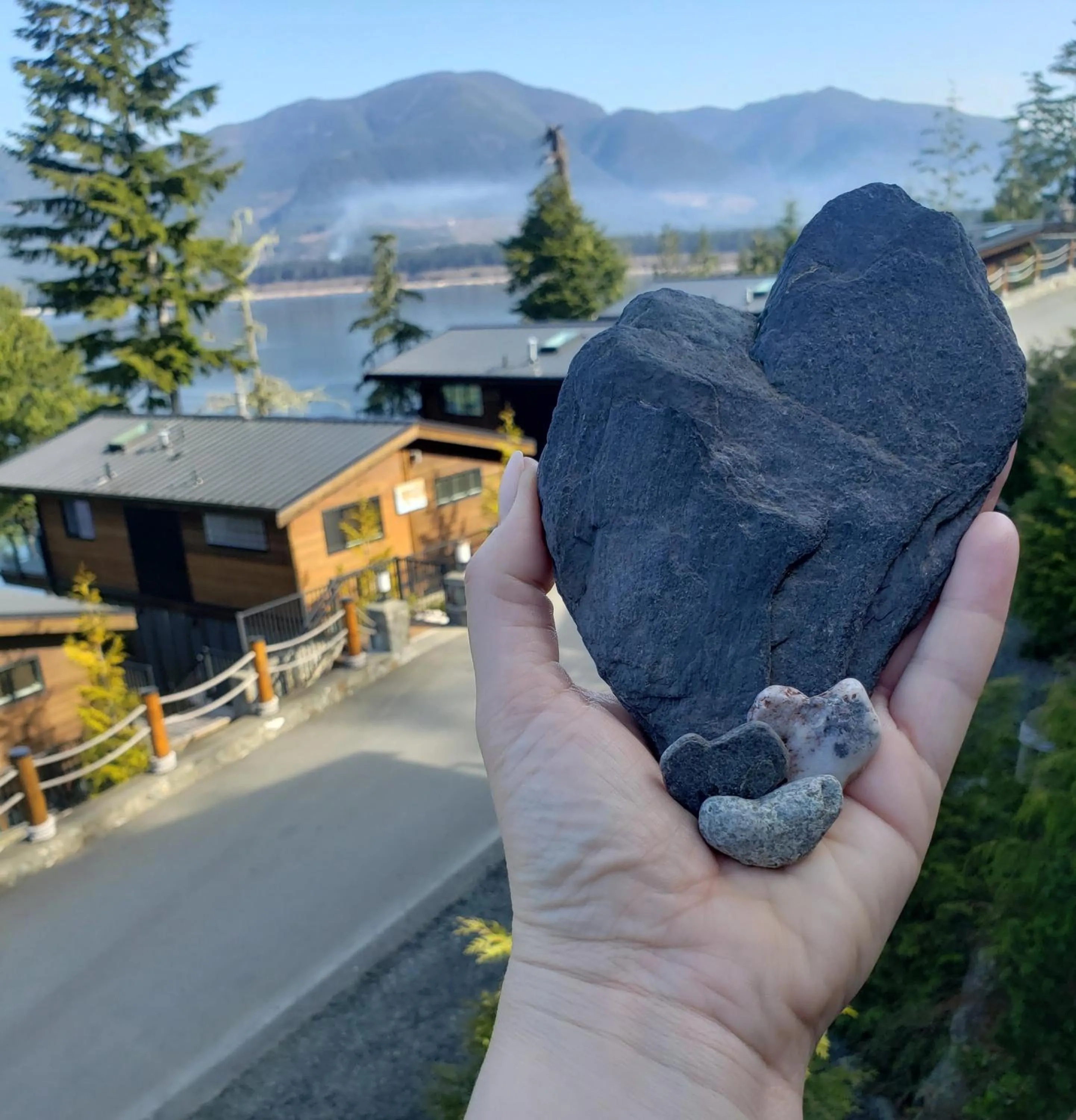 Neighbourhood in Fish Tales Cottage